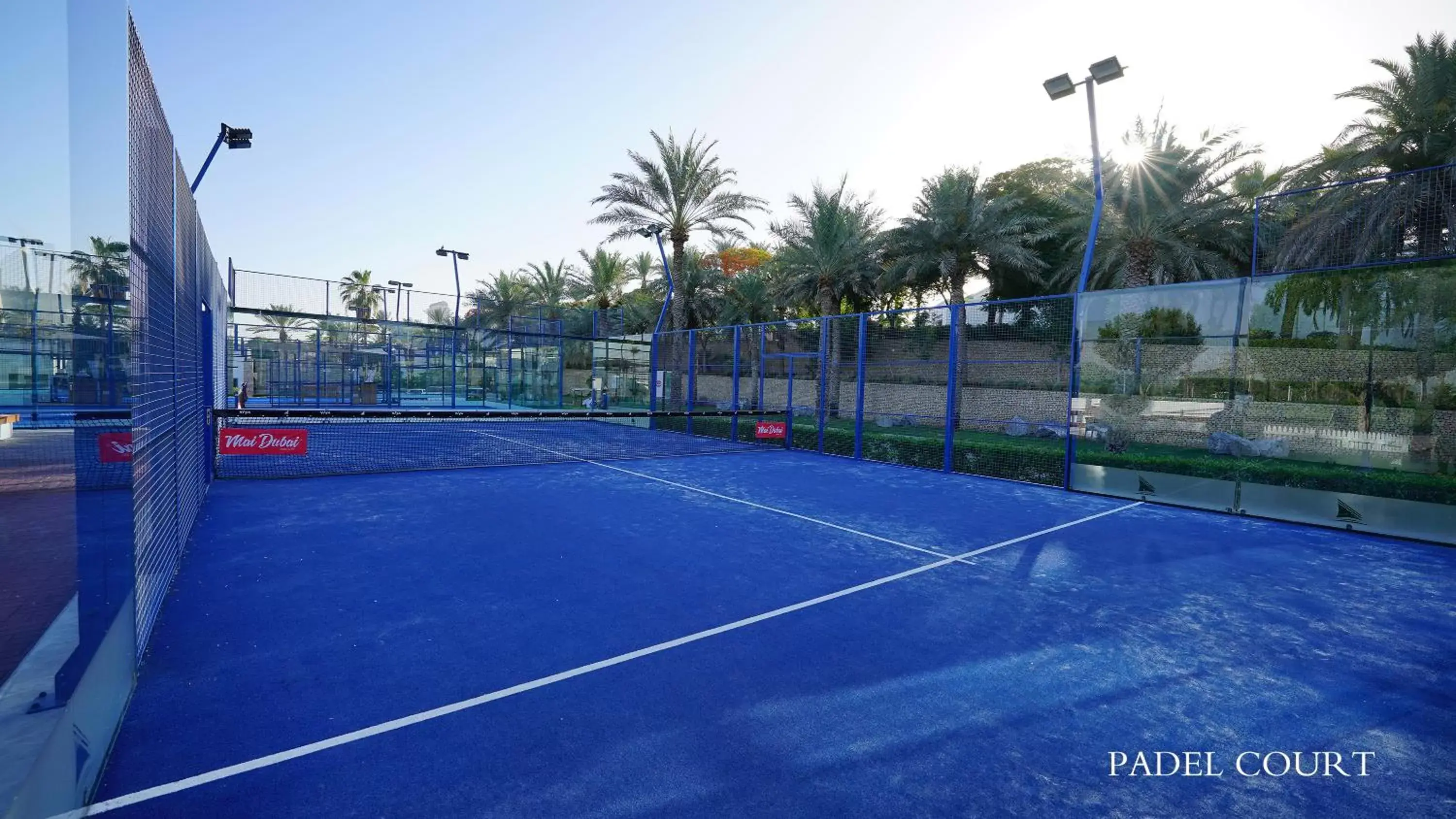Activities, Swimming Pool in Park Hyatt Dubai