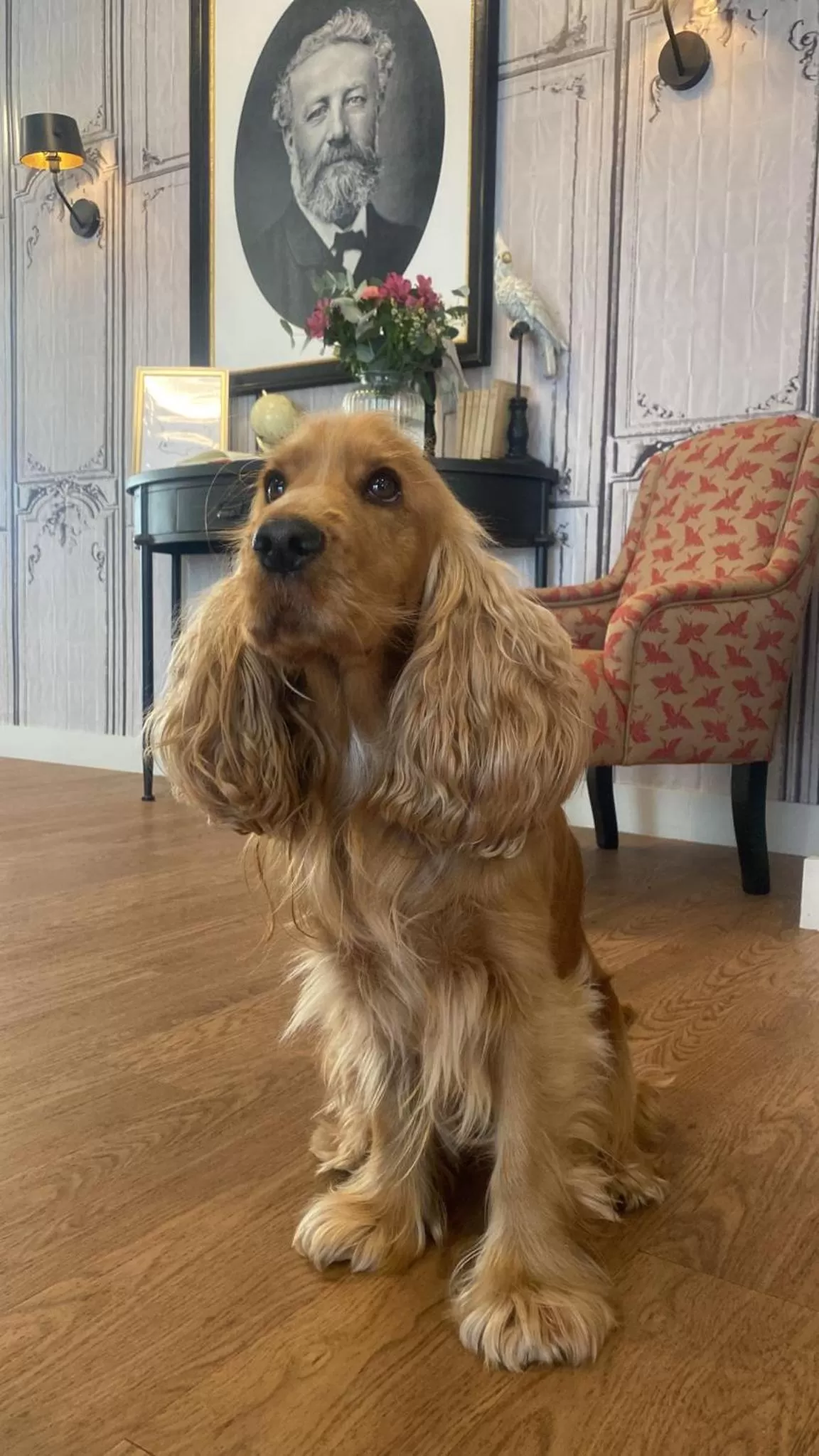 Property building in Hôtel Jules Verne Biarritz