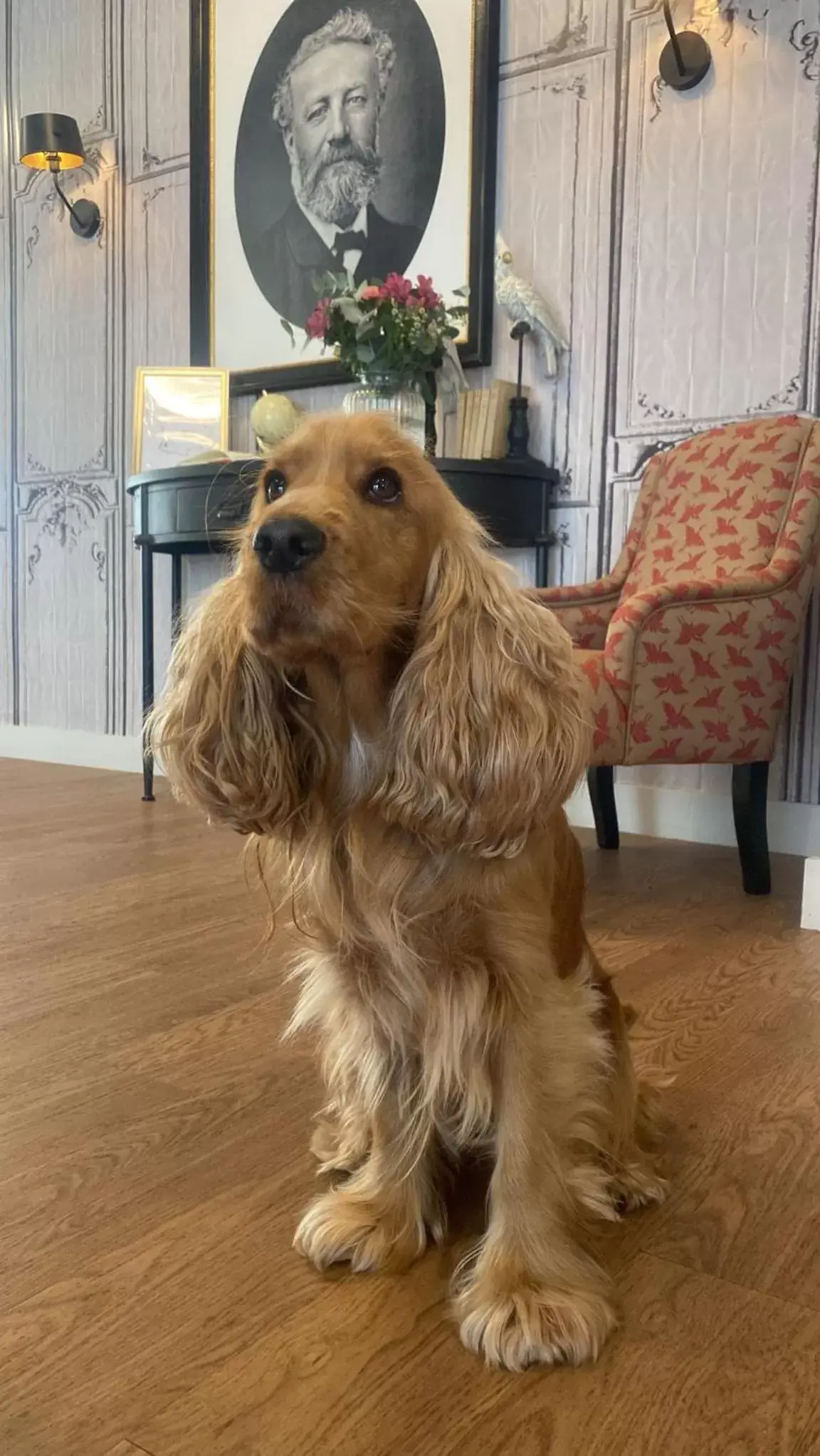 Property building in Hôtel Jules Verne Biarritz Property building in Hôtel Jules Verne Biarritz