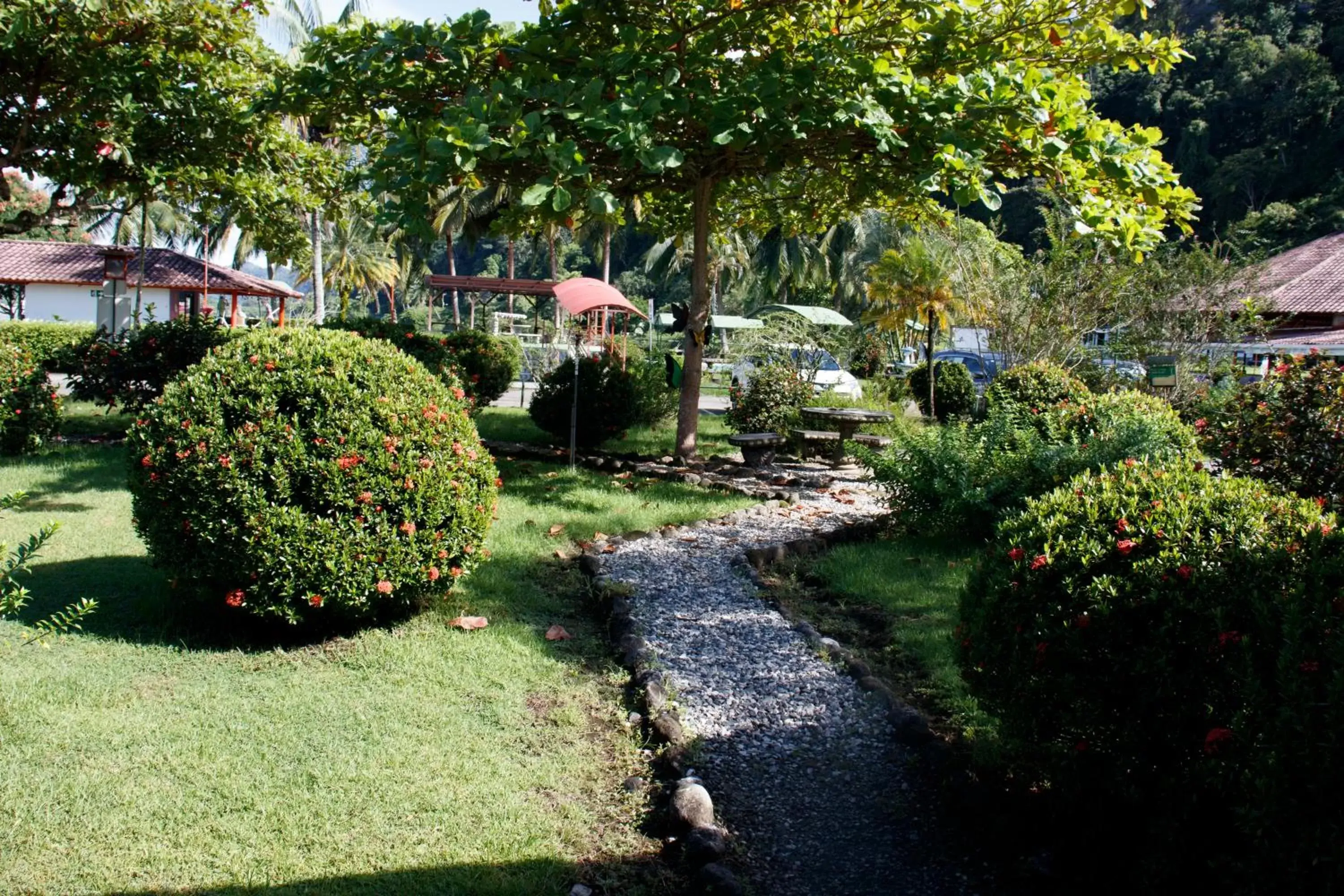 Garden in Hotel Samoa del Sur