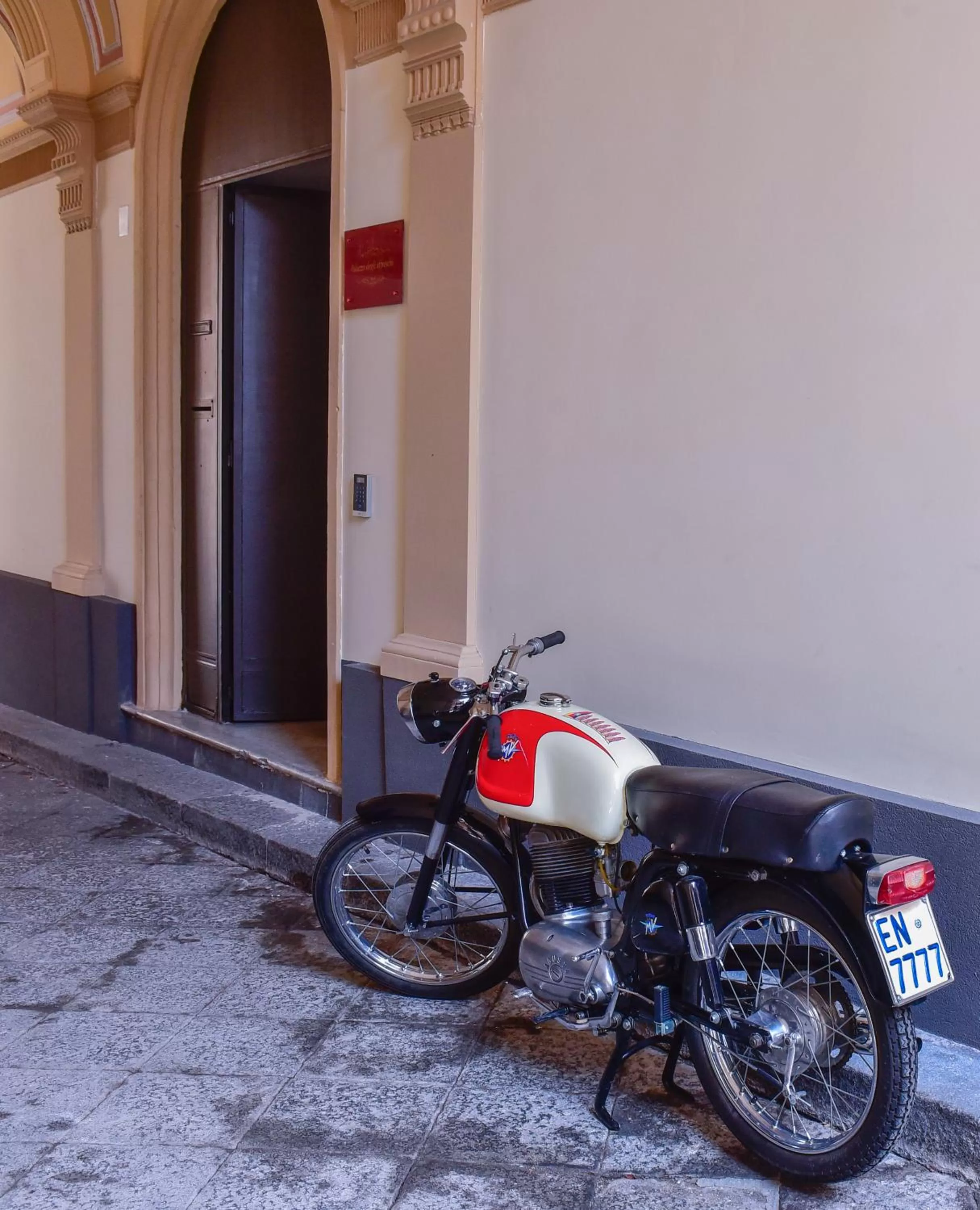 Other in Palazzo degli Affreschi