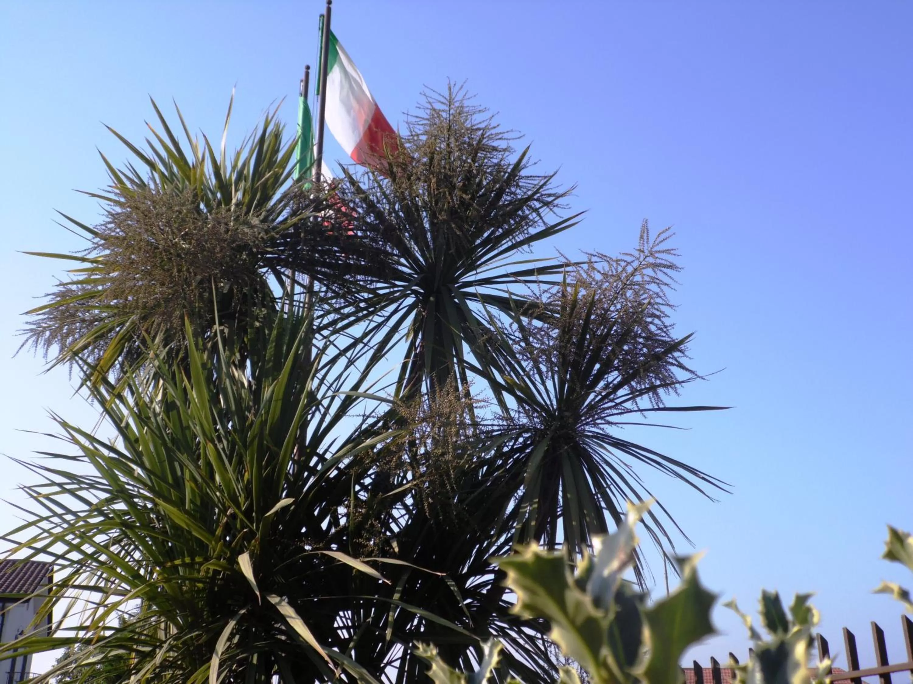 Property building in Hotel Rosso Di Sera