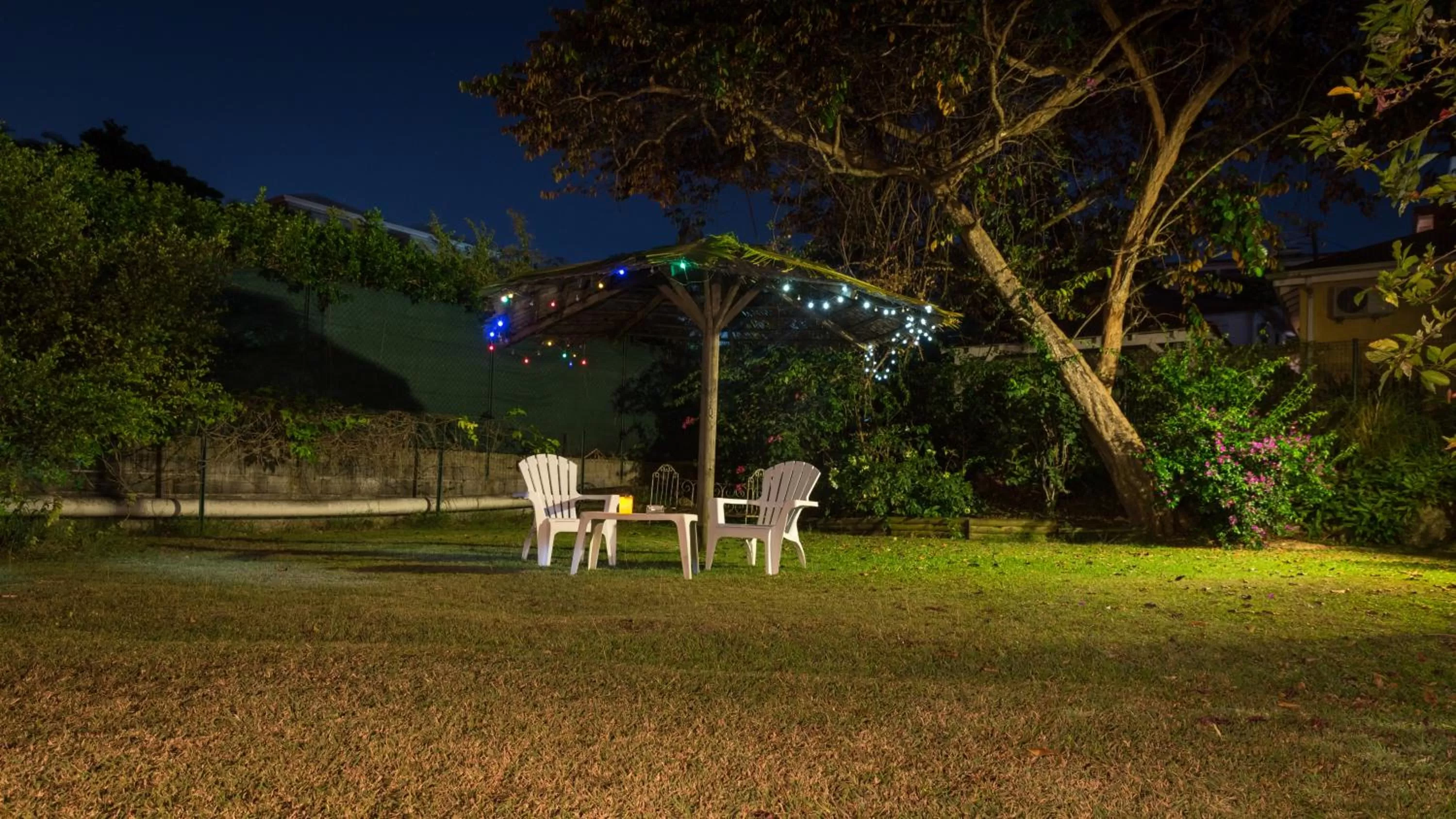 Garden in Hôtel Les Bananiers