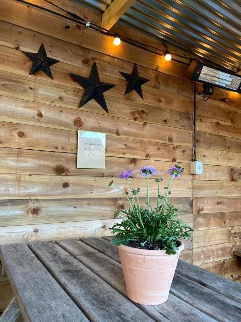 Garden in The Windmill Inn