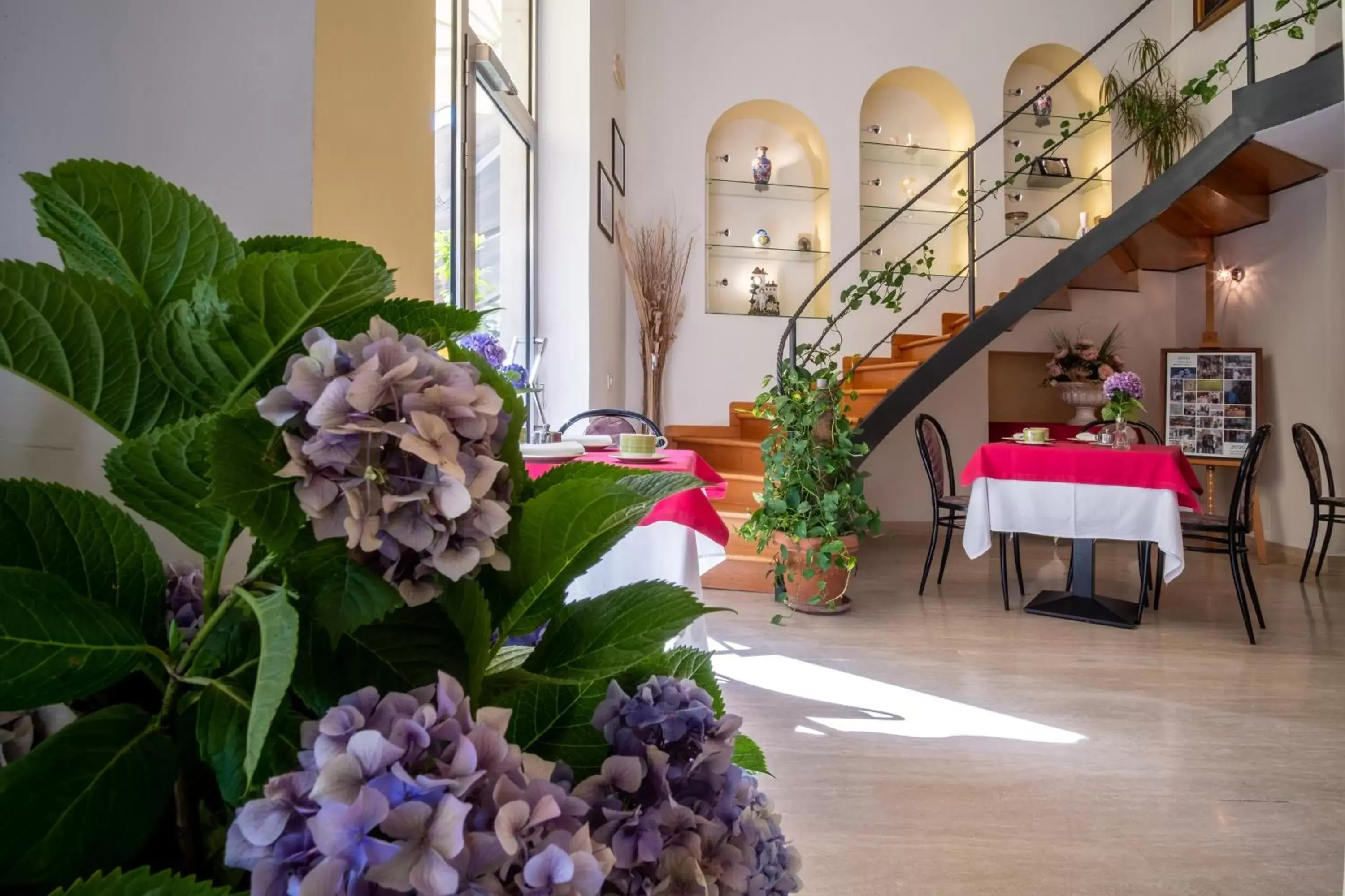 Restaurant/places to eat in Hotel Savoia Sorrento Restaurant/places to eat in Hotel Savoia Sorrento