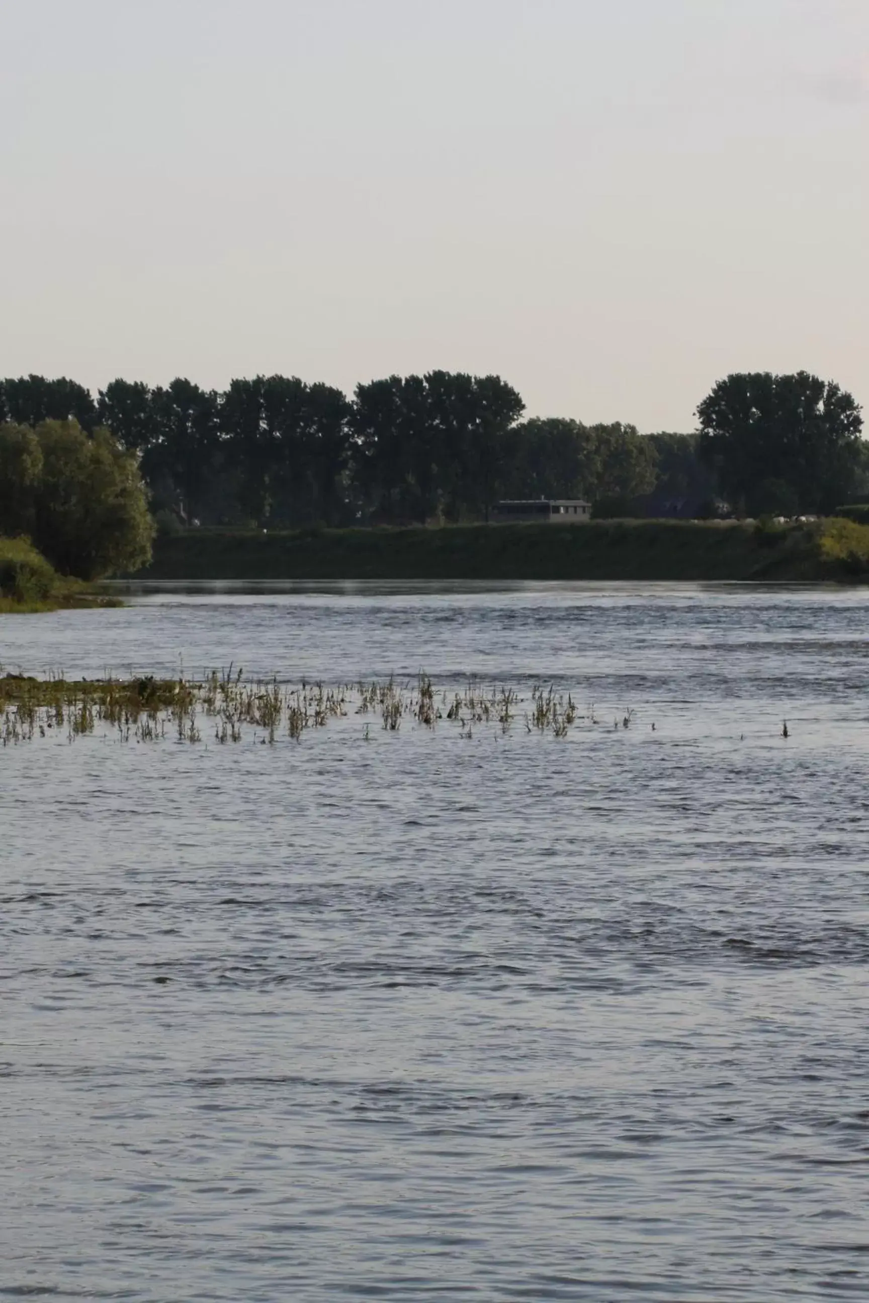 Summer in Biedermeier