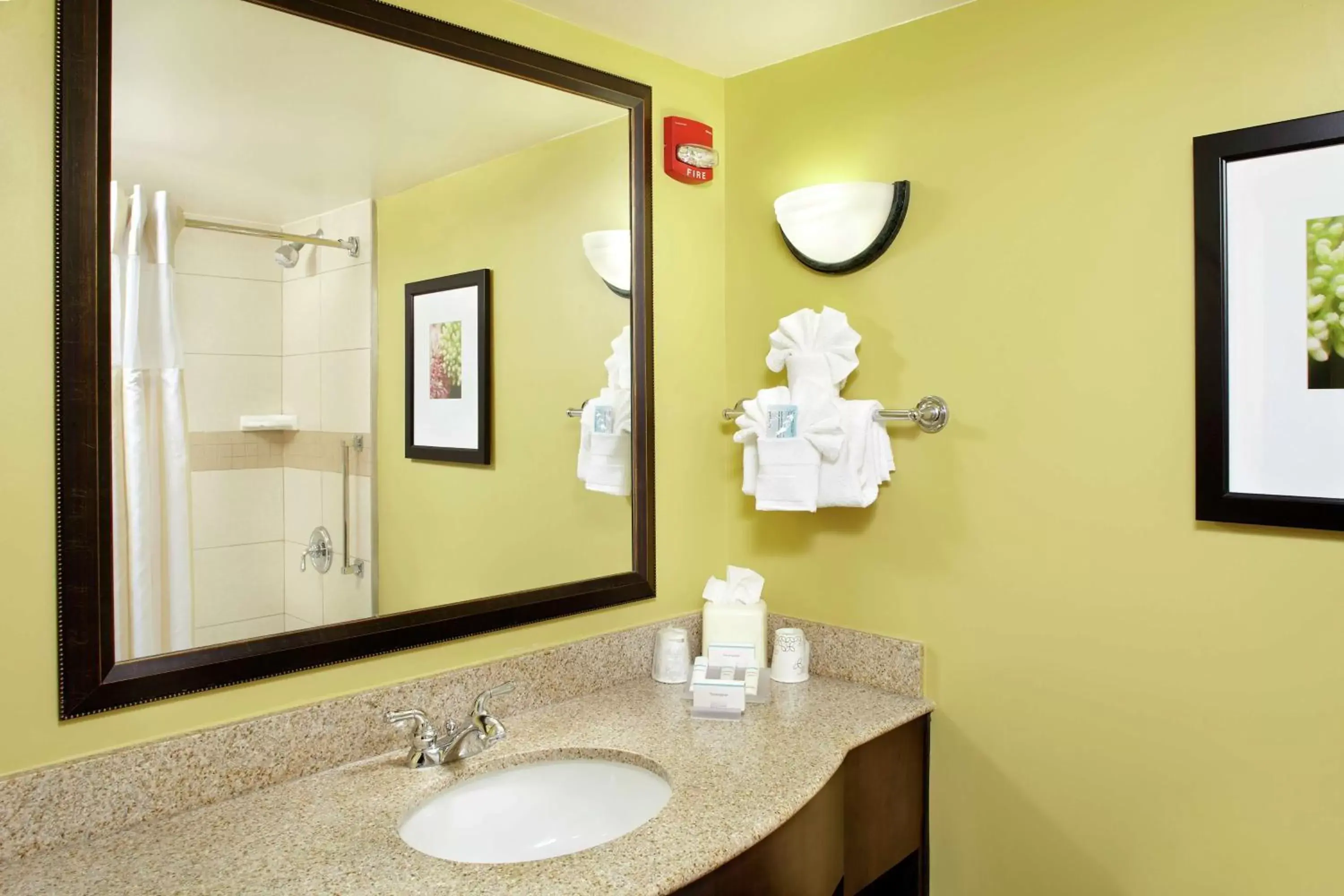 Bathroom in Hilton Garden Inn Tampa East Brandon