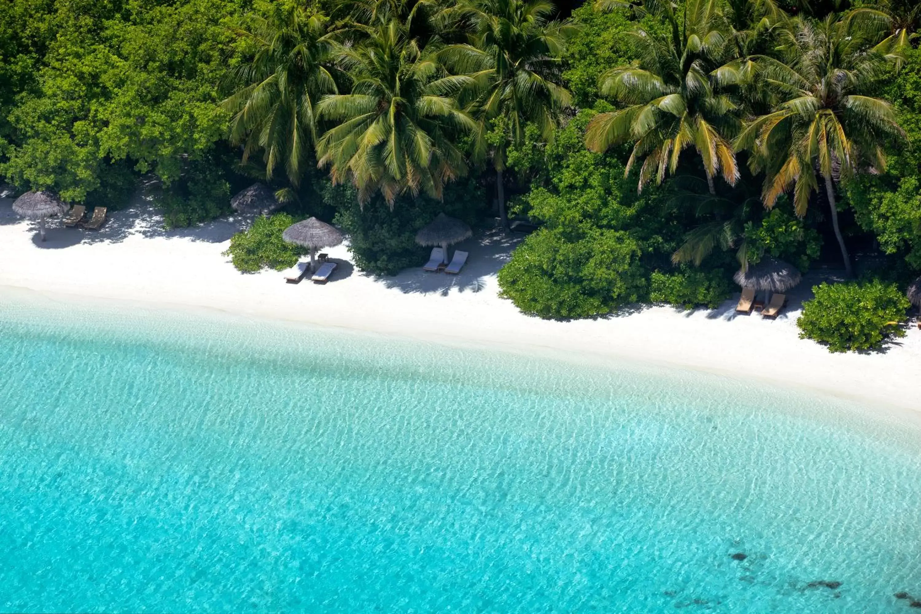 Beach, Bird's-eye View in Baros Maldives