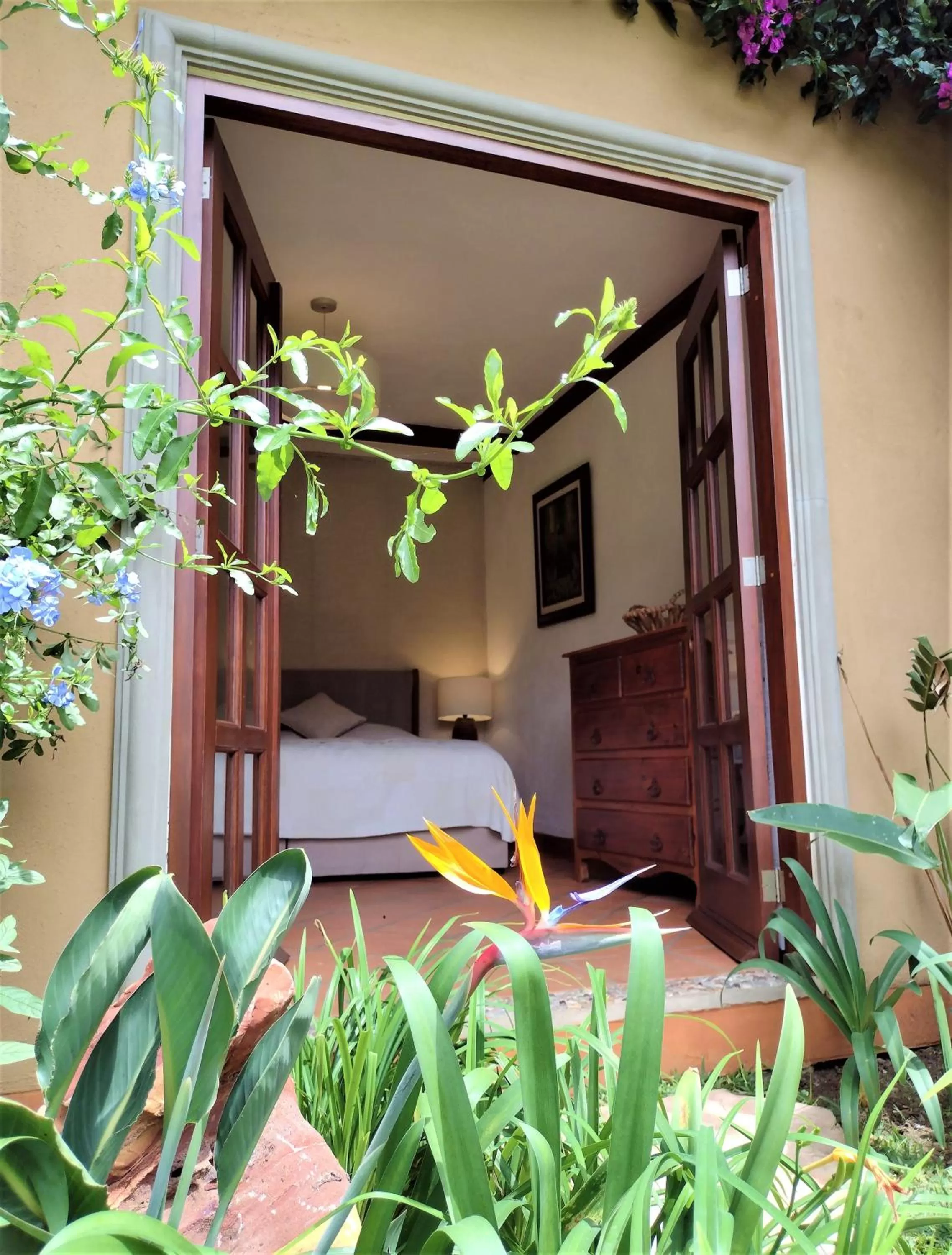 Deluxe Suite in Areté