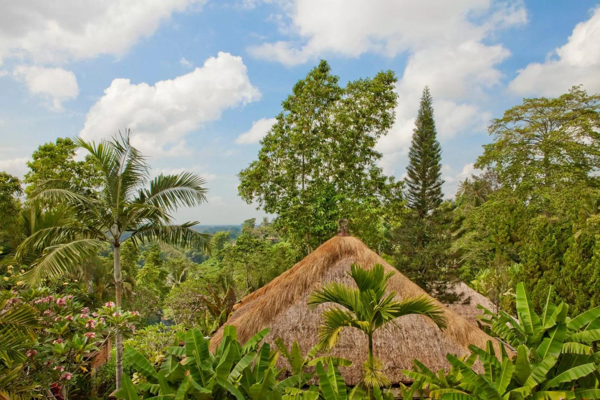 Photo of the whole room in COMO Uma Ubud