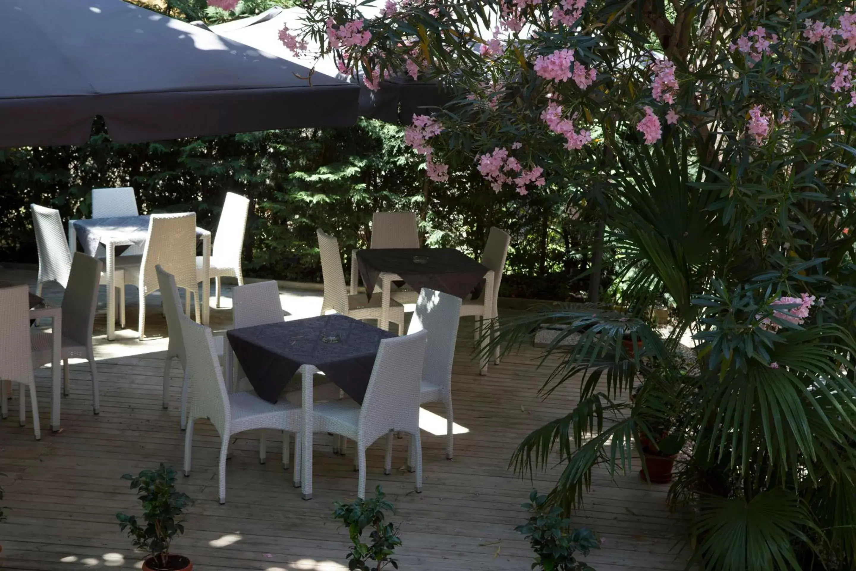 Garden in Hotel Villa Pannonia