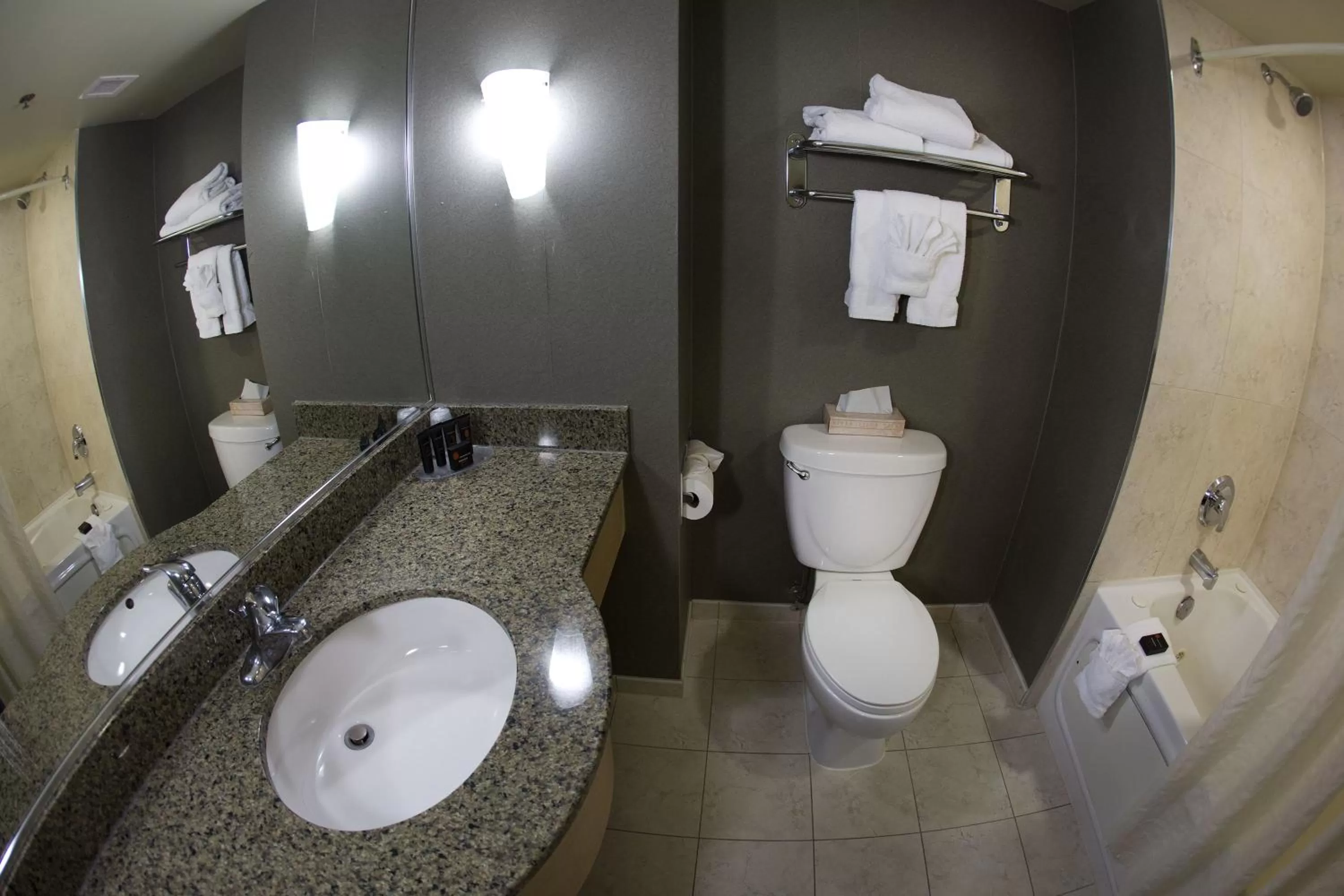 Bathroom in The Oakes Hotel Overlooking the Falls