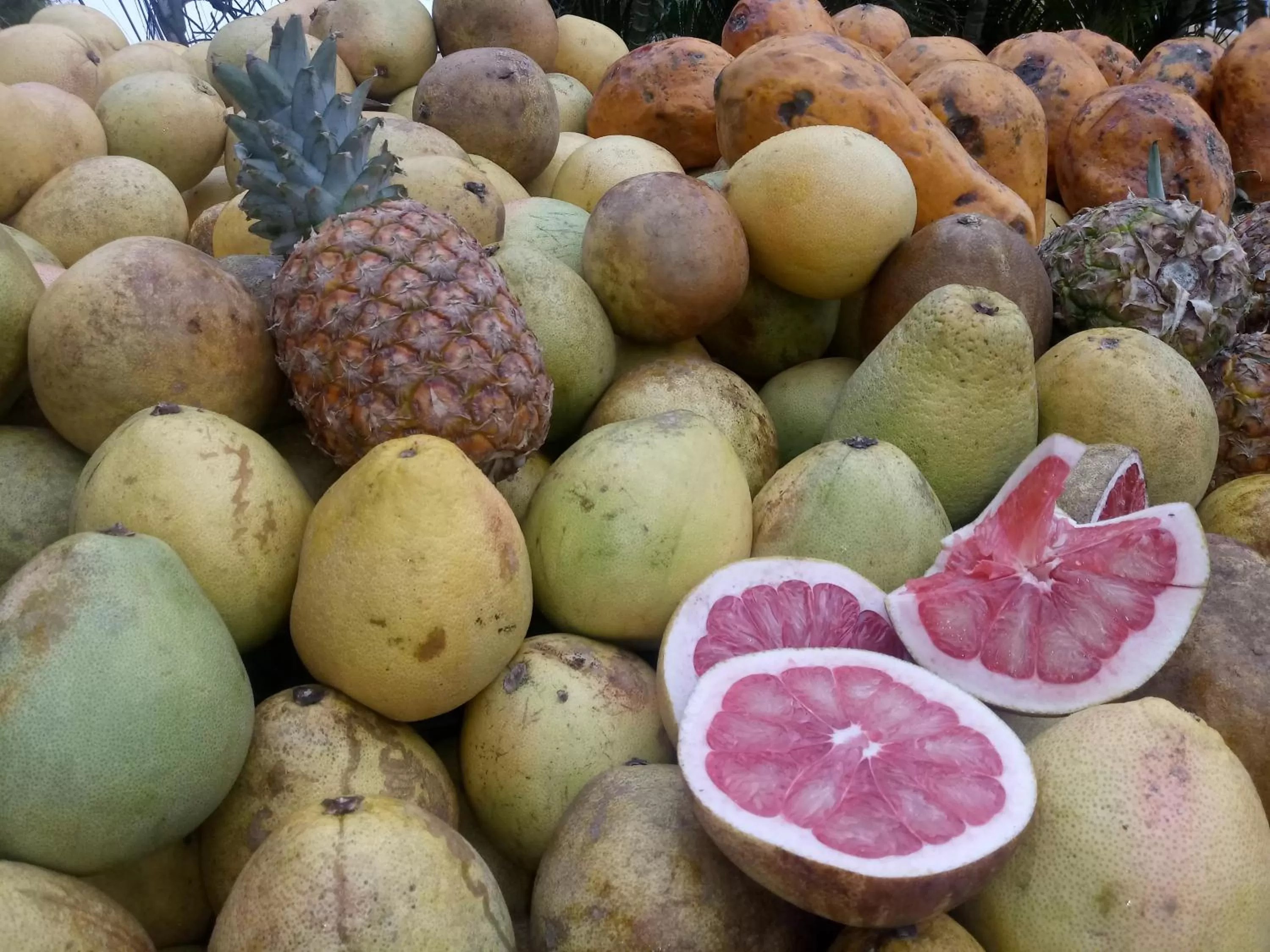 Restaurant/places to eat in Riviera Punta Cana Eco Travelers