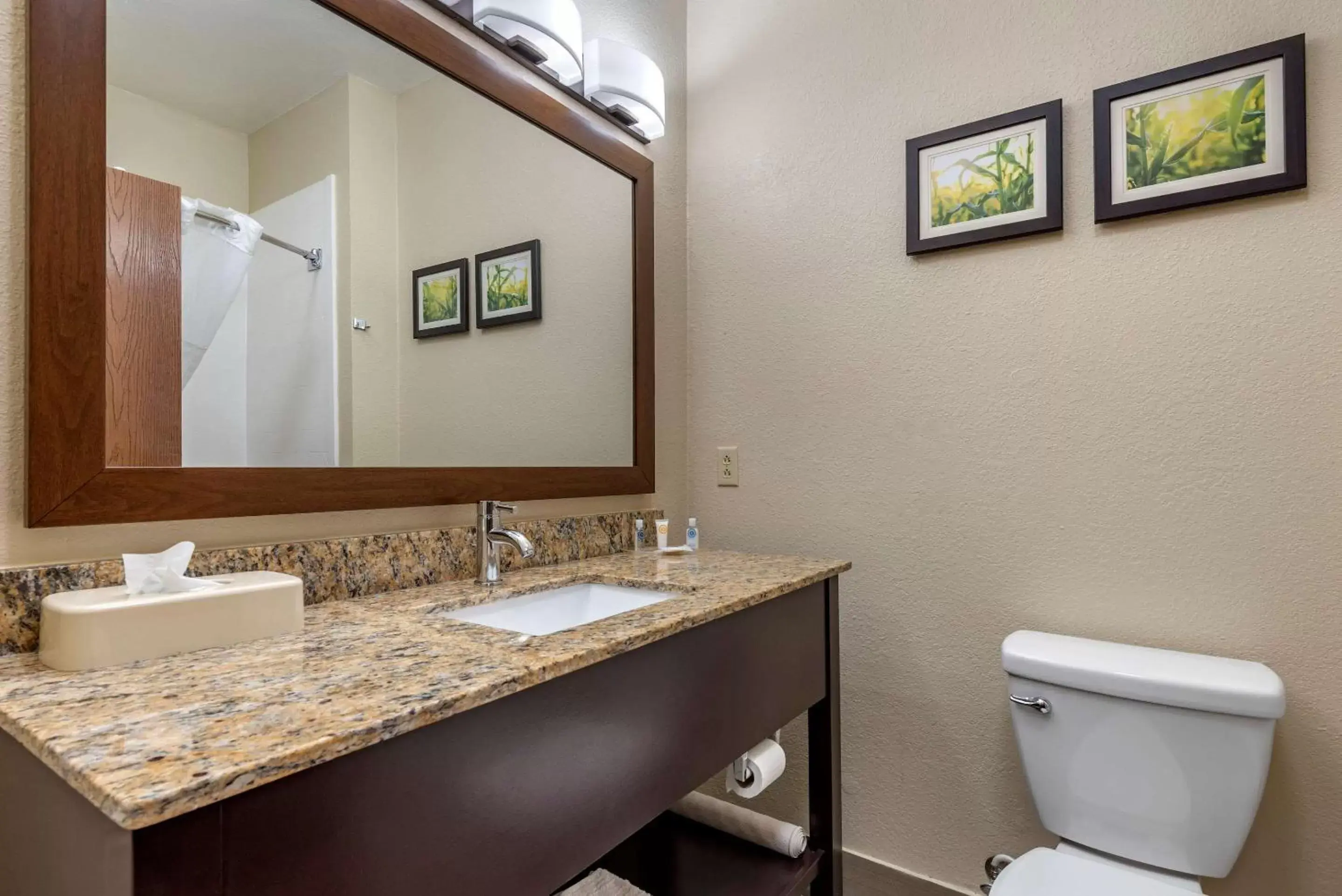 Toilet, Bathroom in Comfort Suites Auburn near I-69