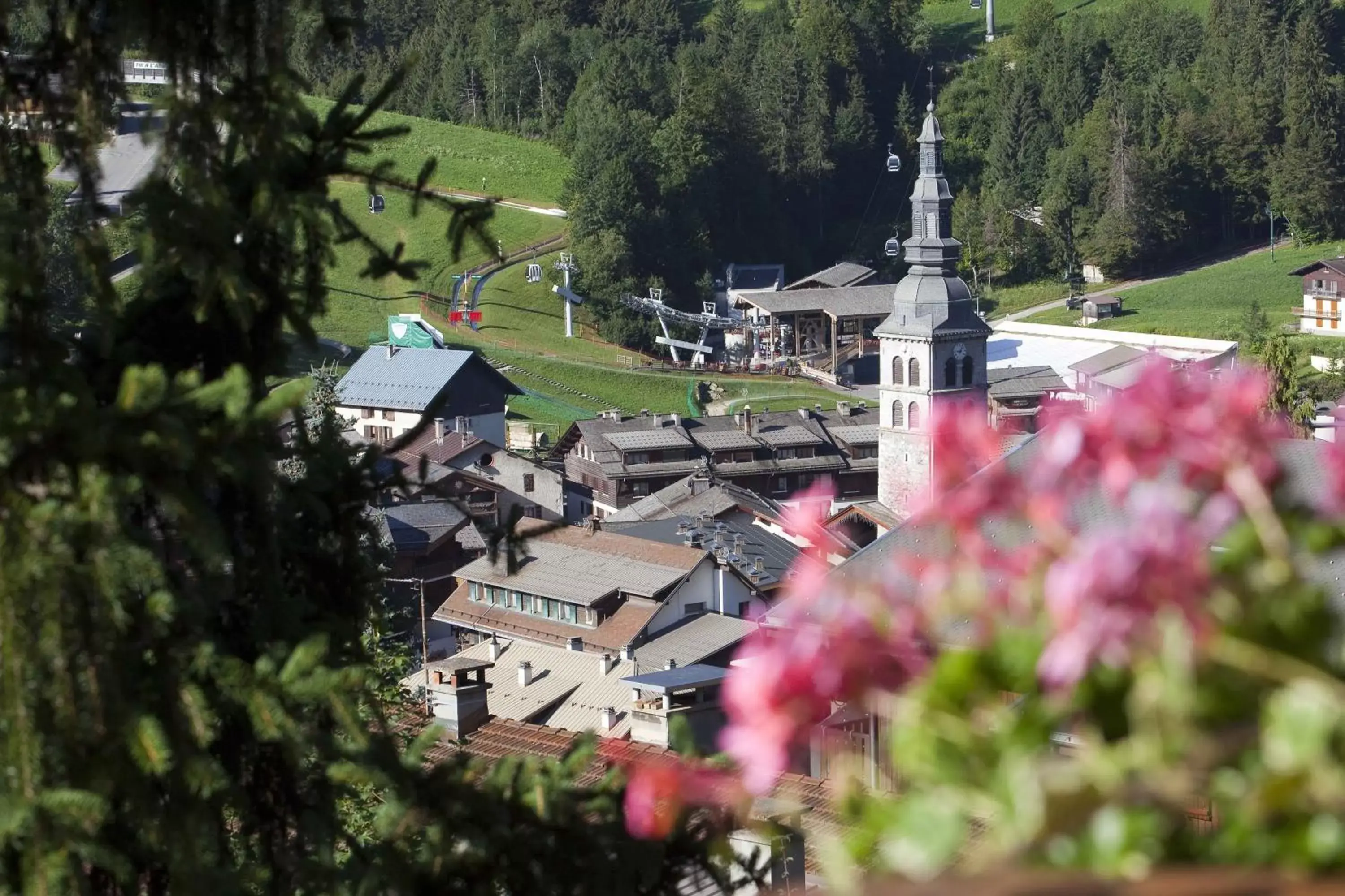 Summer, Bird's-eye View in Carlina