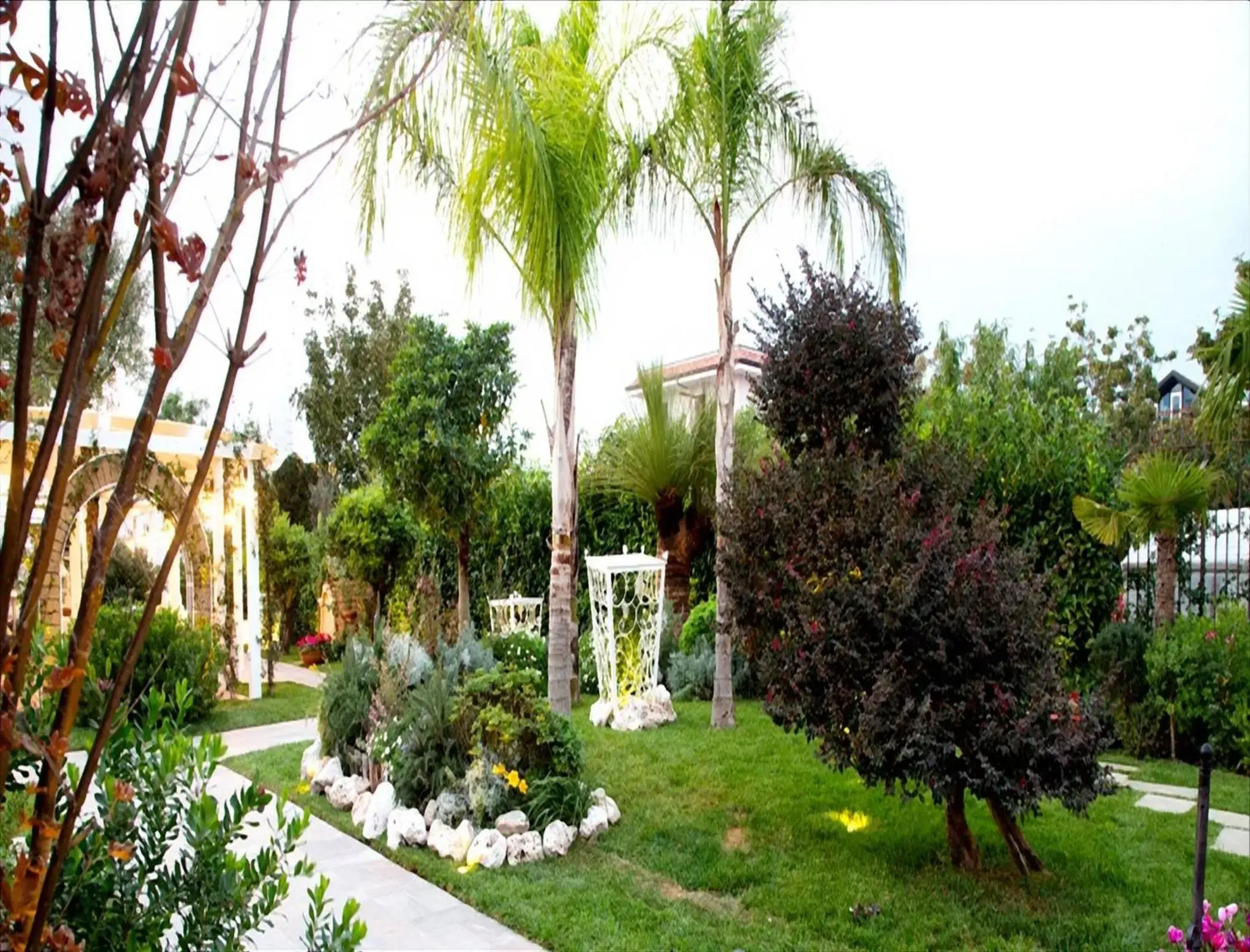 Garden in Hotel Villa Clementina