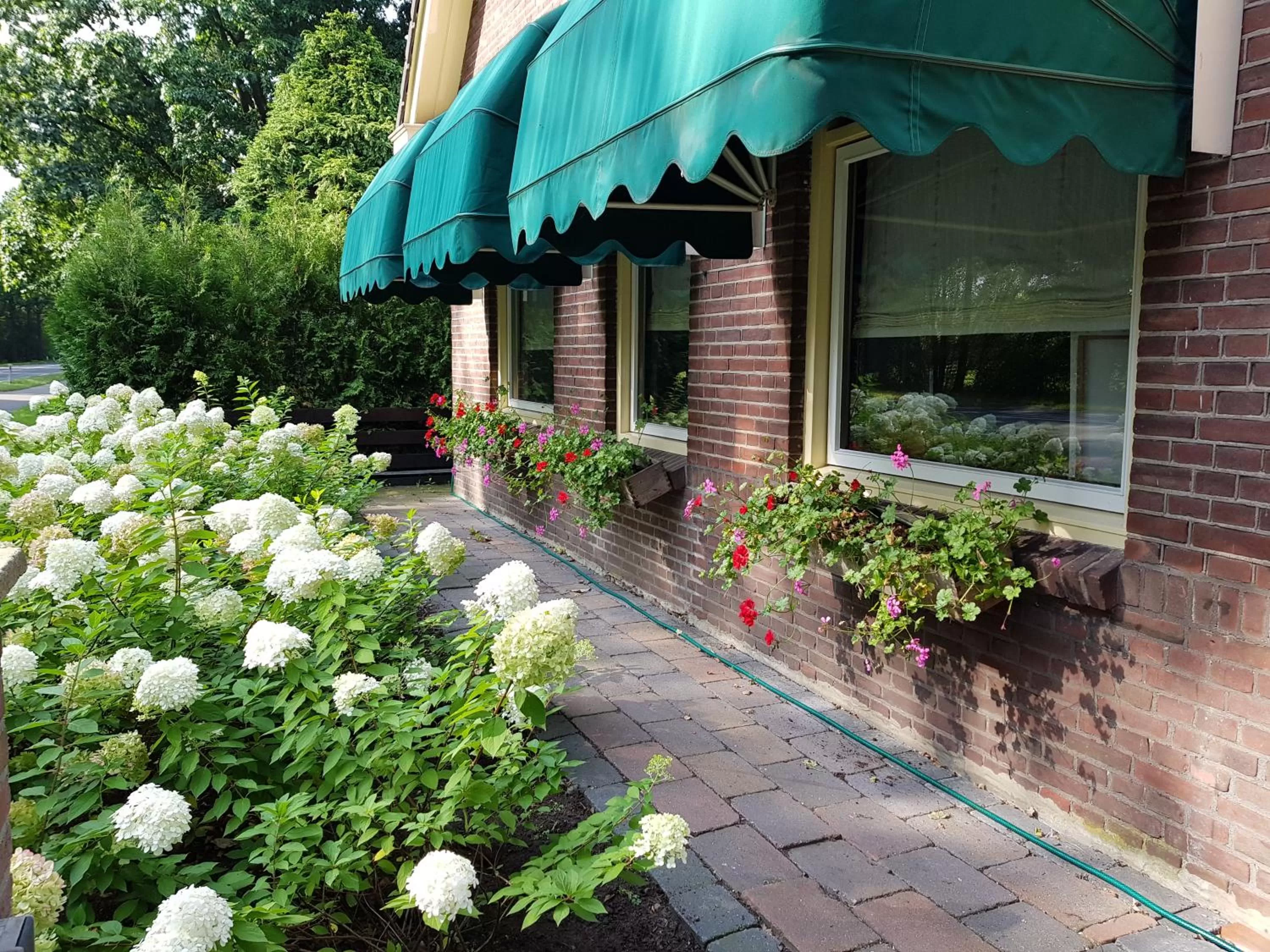 View (from property/room) in B&B Usselo Klein, fijn en uniek!