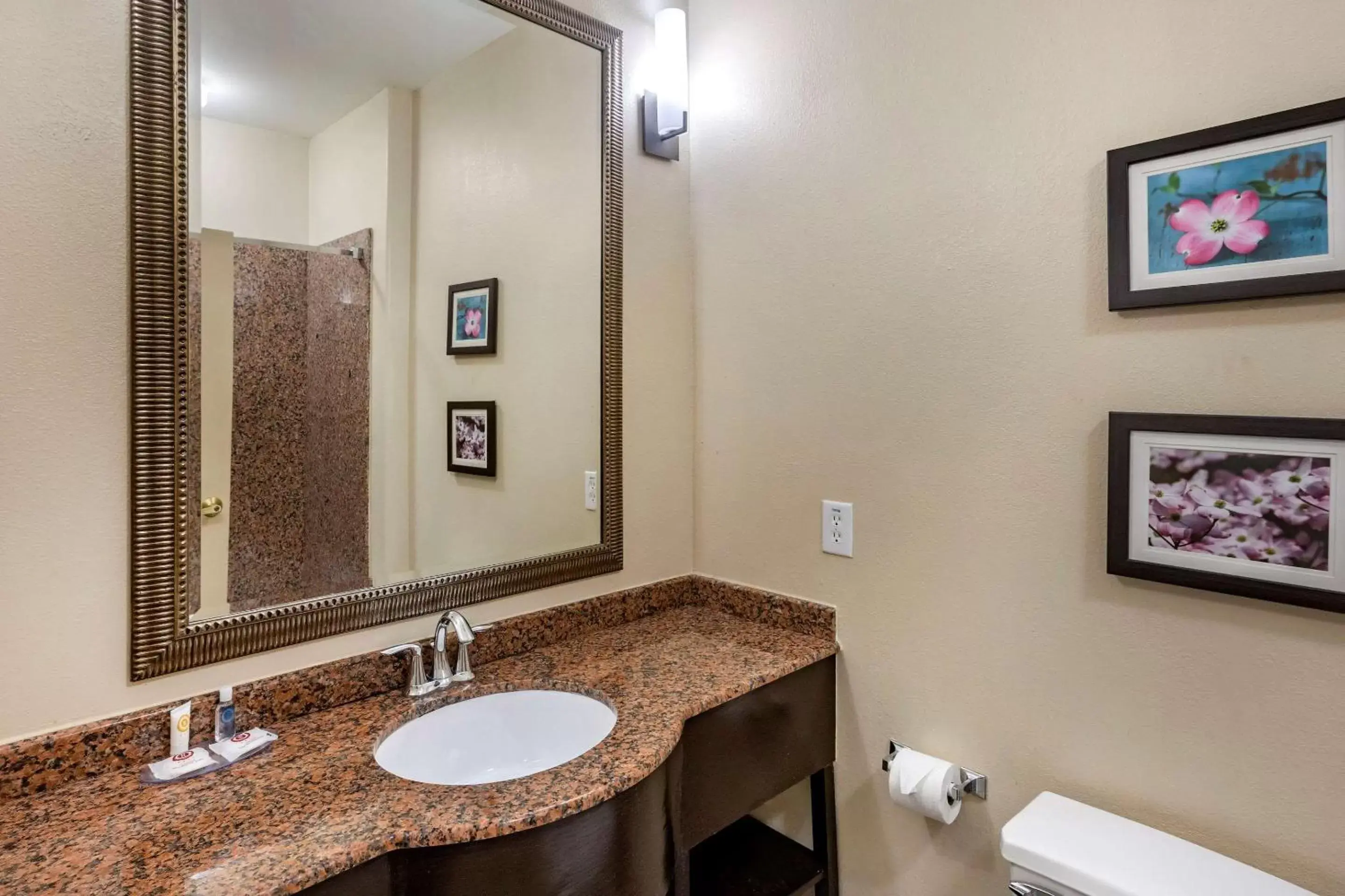 Bathroom in Comfort Inn & Suites Villa Rica