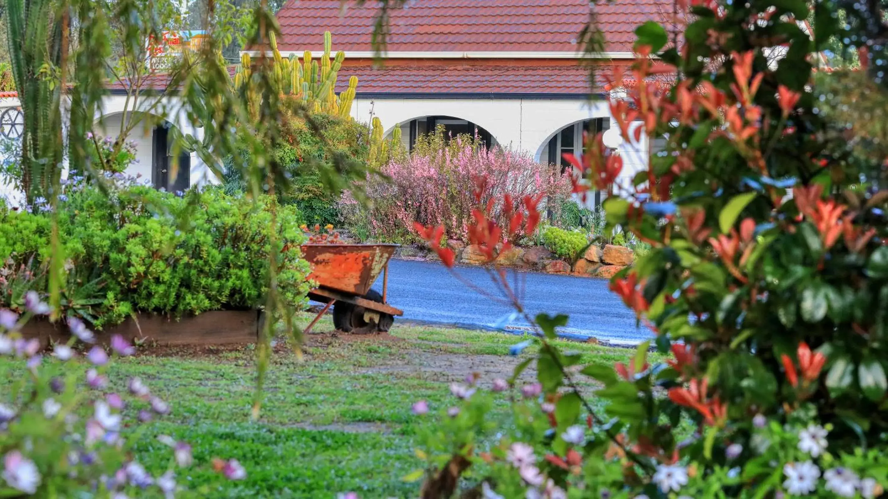 Garden in Azalea Motel