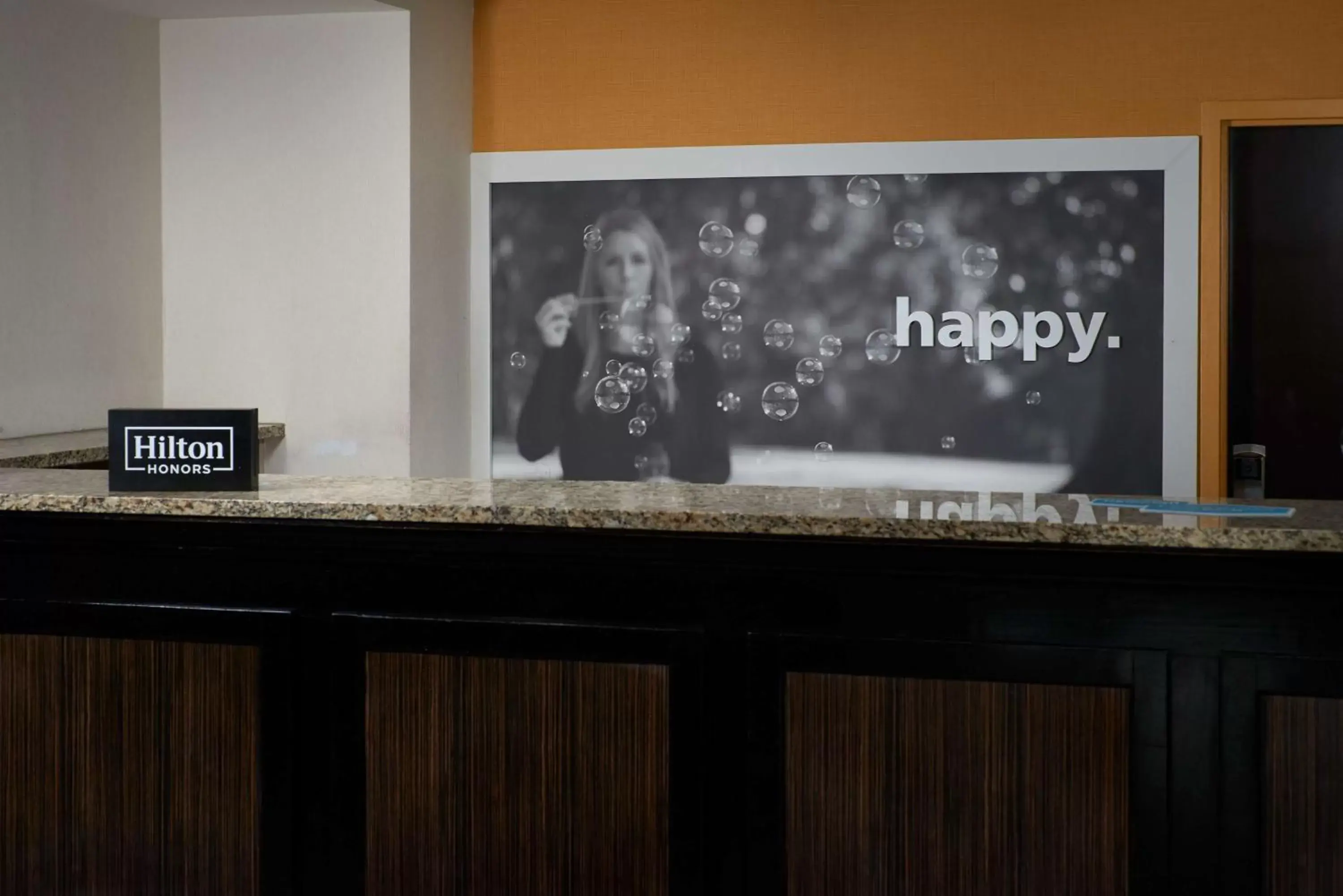 Lobby or reception in Hampton Inn Ann Arbor-South Lobby or reception in Hampton Inn Ann Arbor-South