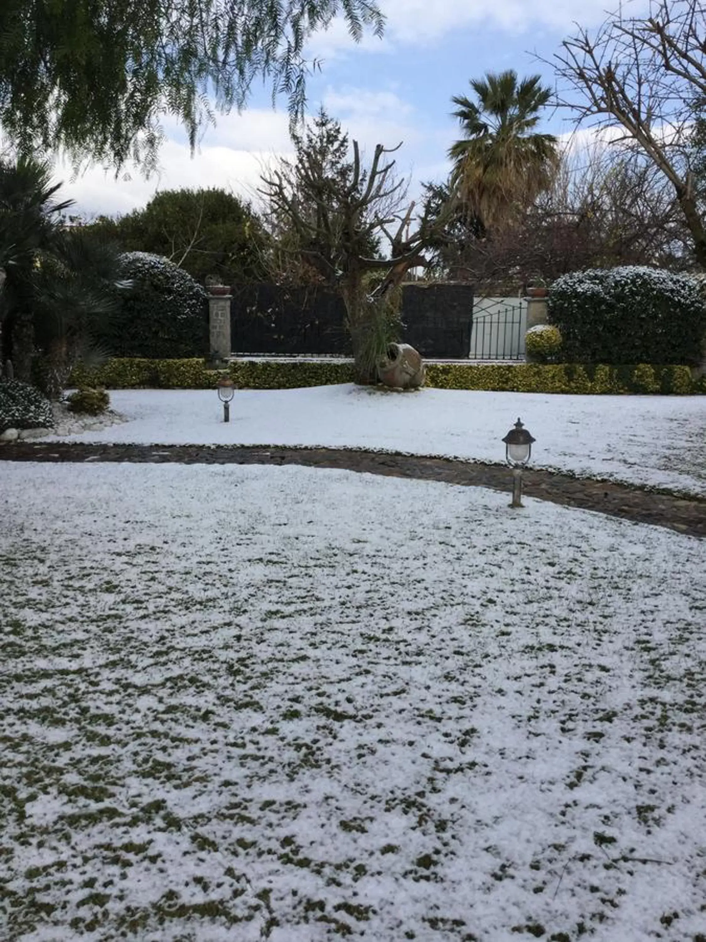 Garden, Winter in B&B Villa Lura Pompei