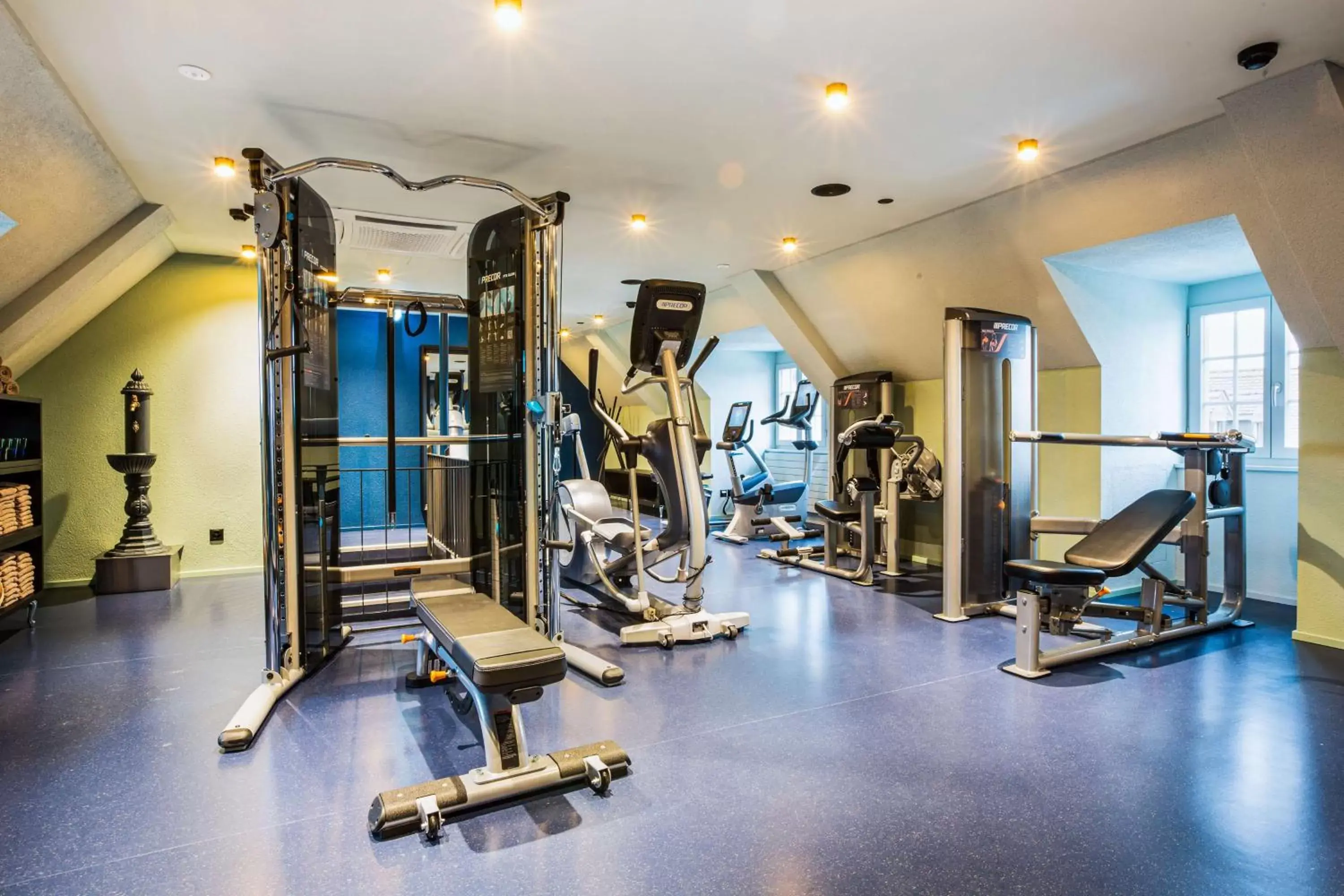 Fitness centre/facilities, Fitness Center/Facilities in NH Bern The Bristol