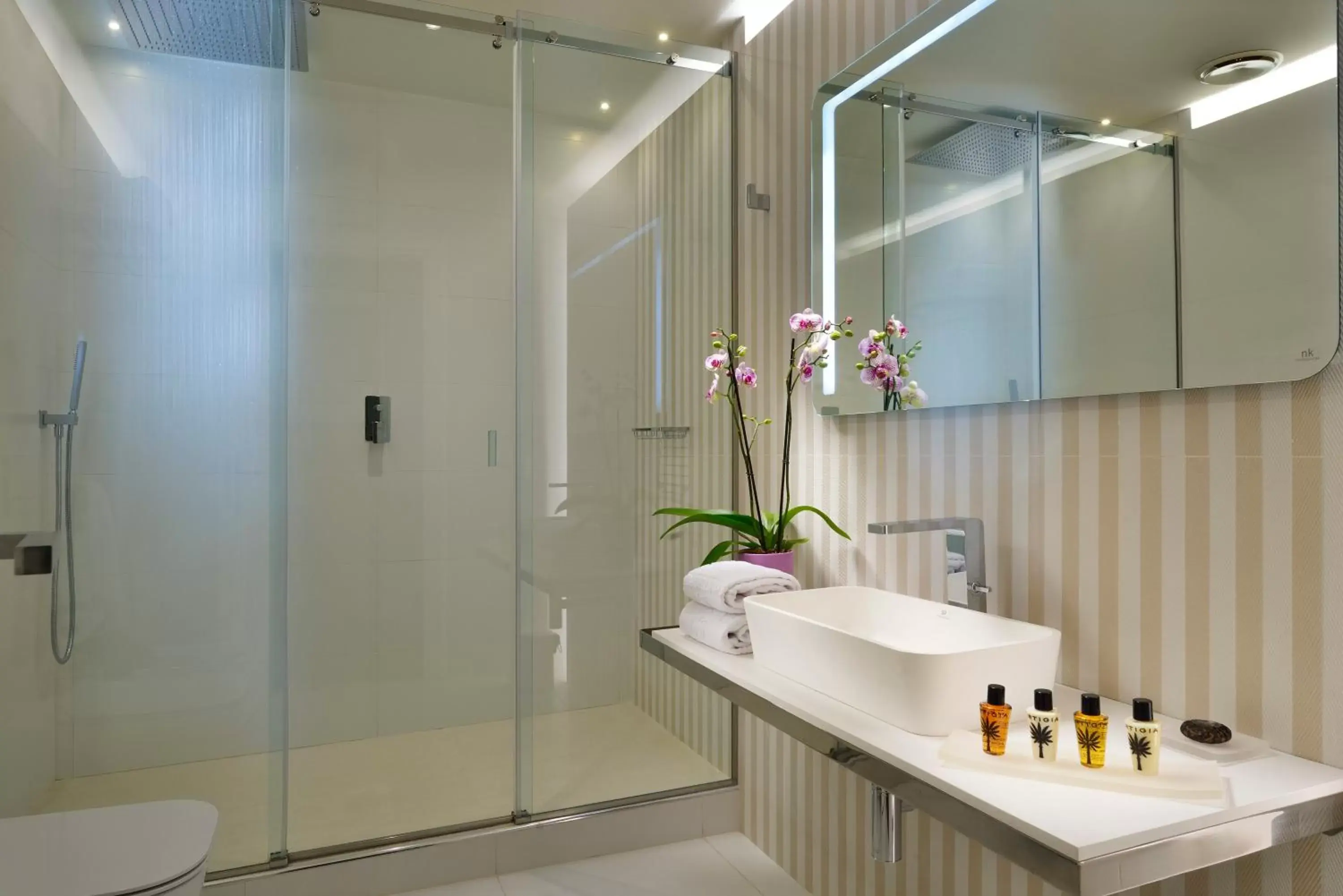 Shower, Bathroom in Locanda della Posta Boutique Hotel