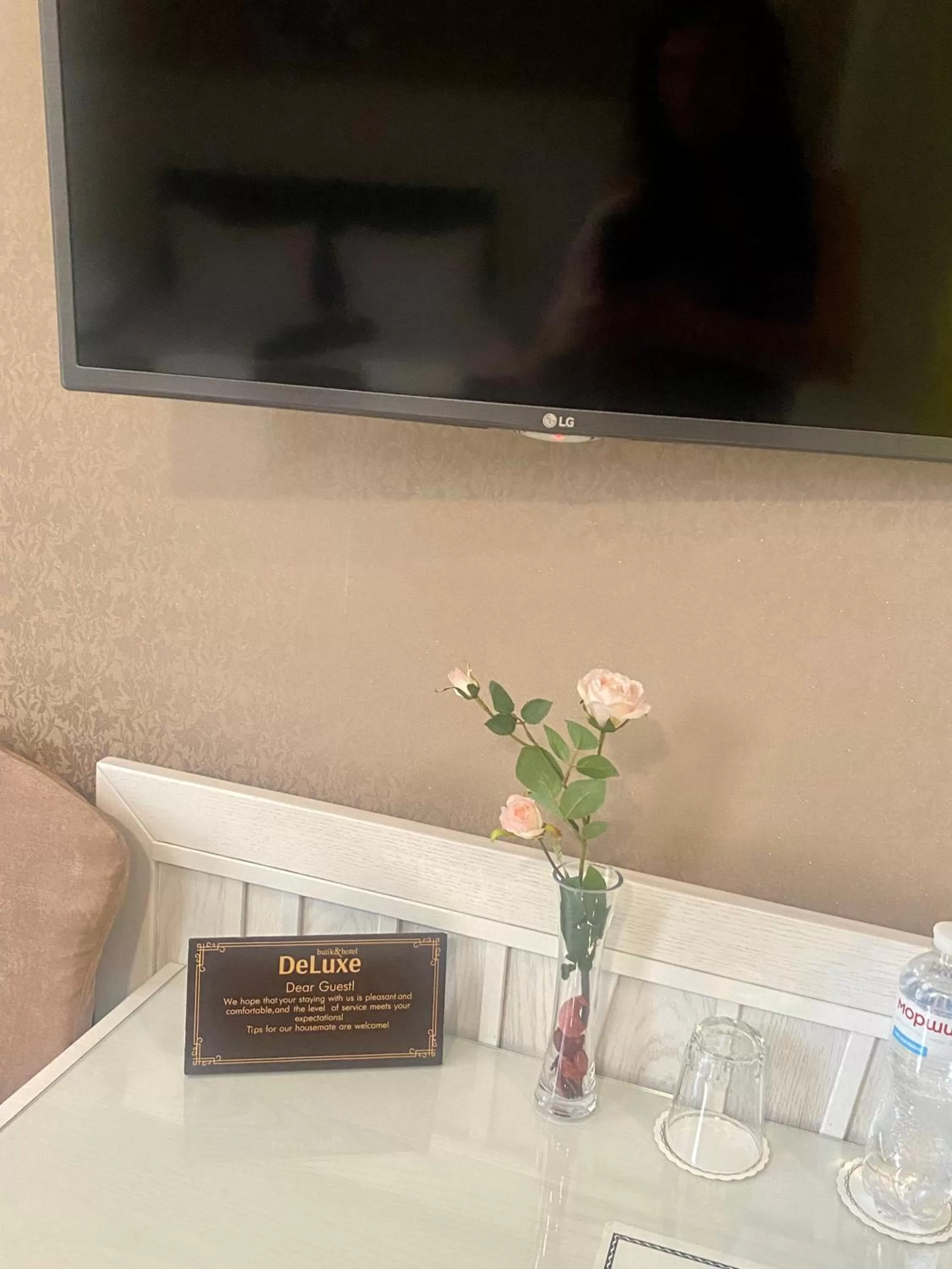 TV and multimedia in Boutique Hotel Deluxe