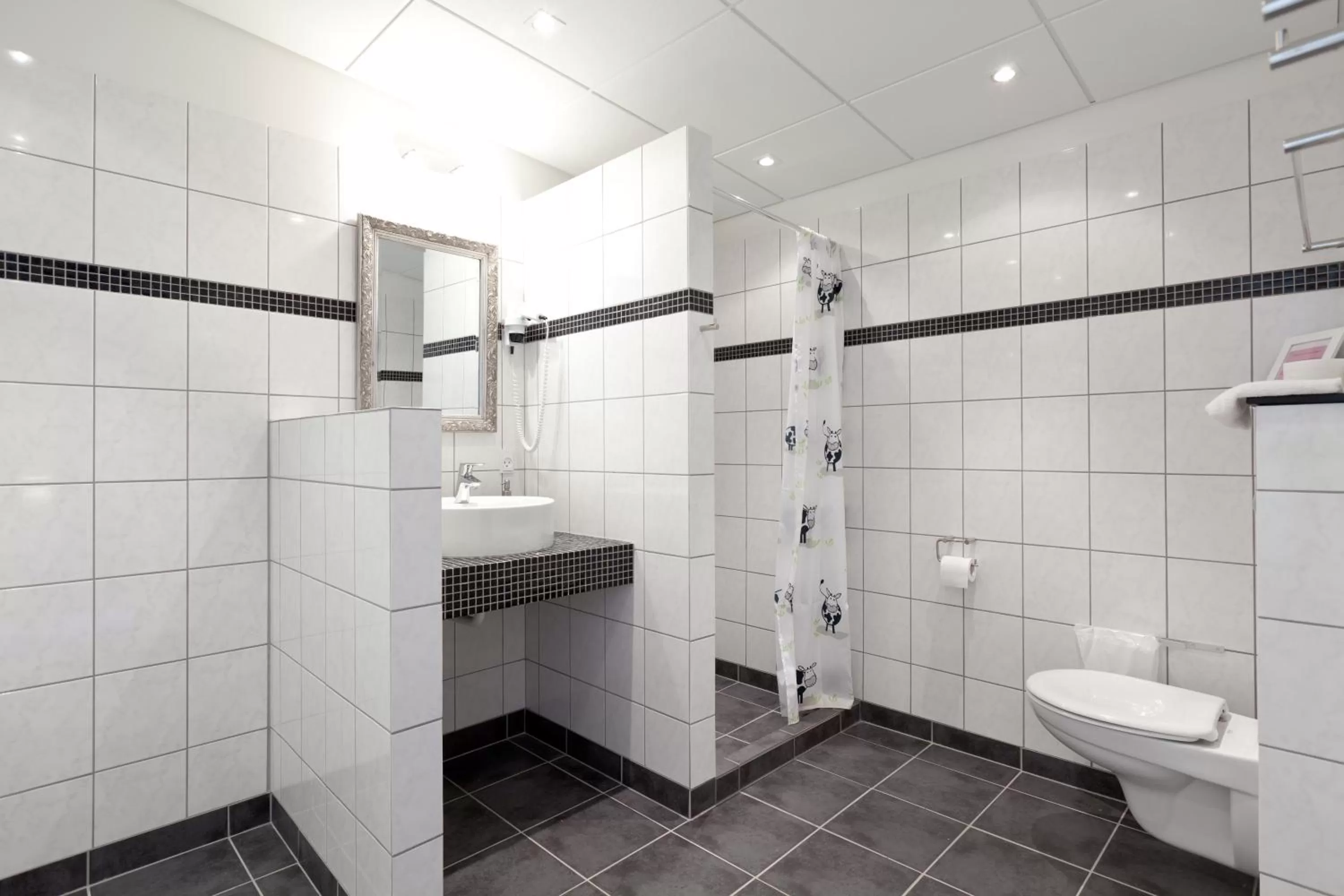 Shower in Bromølle Kro