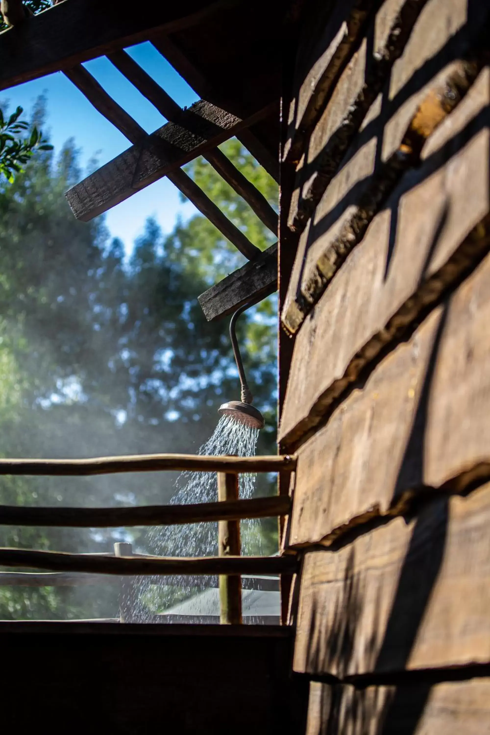 Shower, Balcony/Terrace in Tsala Treetop Lodge