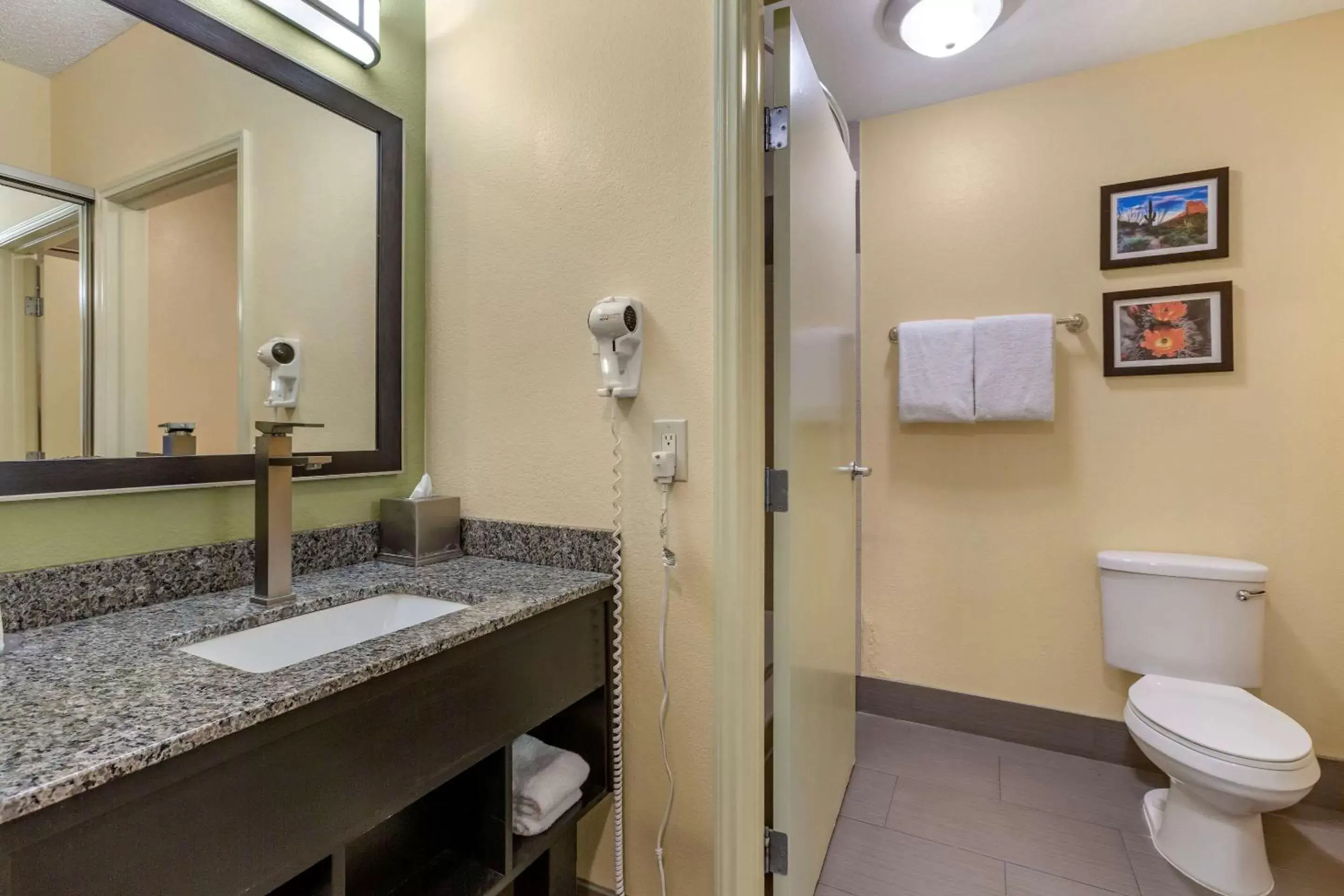 Bathroom in Comfort Inn Chandler - Phoenix South I-10