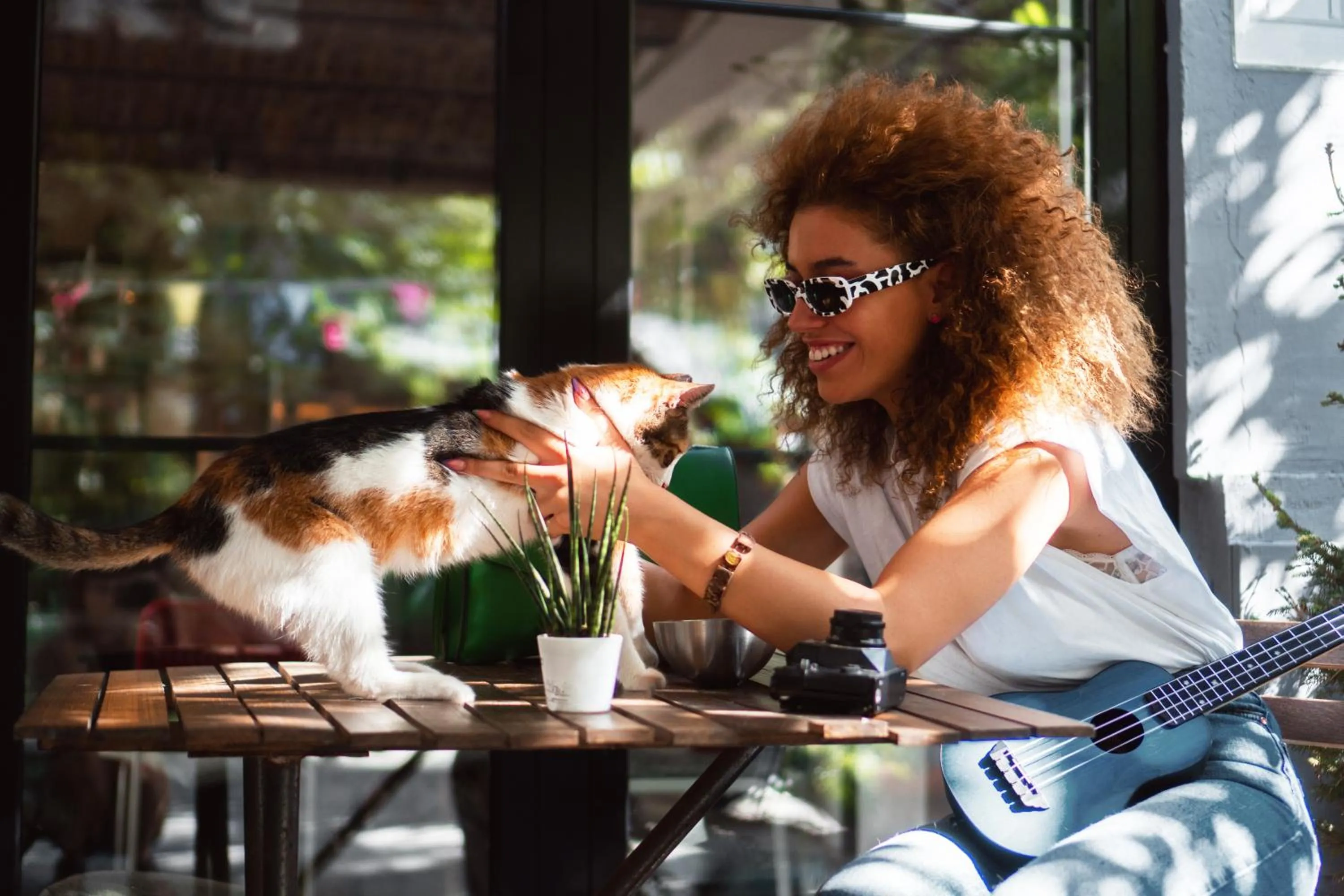 Garden in Good People Design Hostel