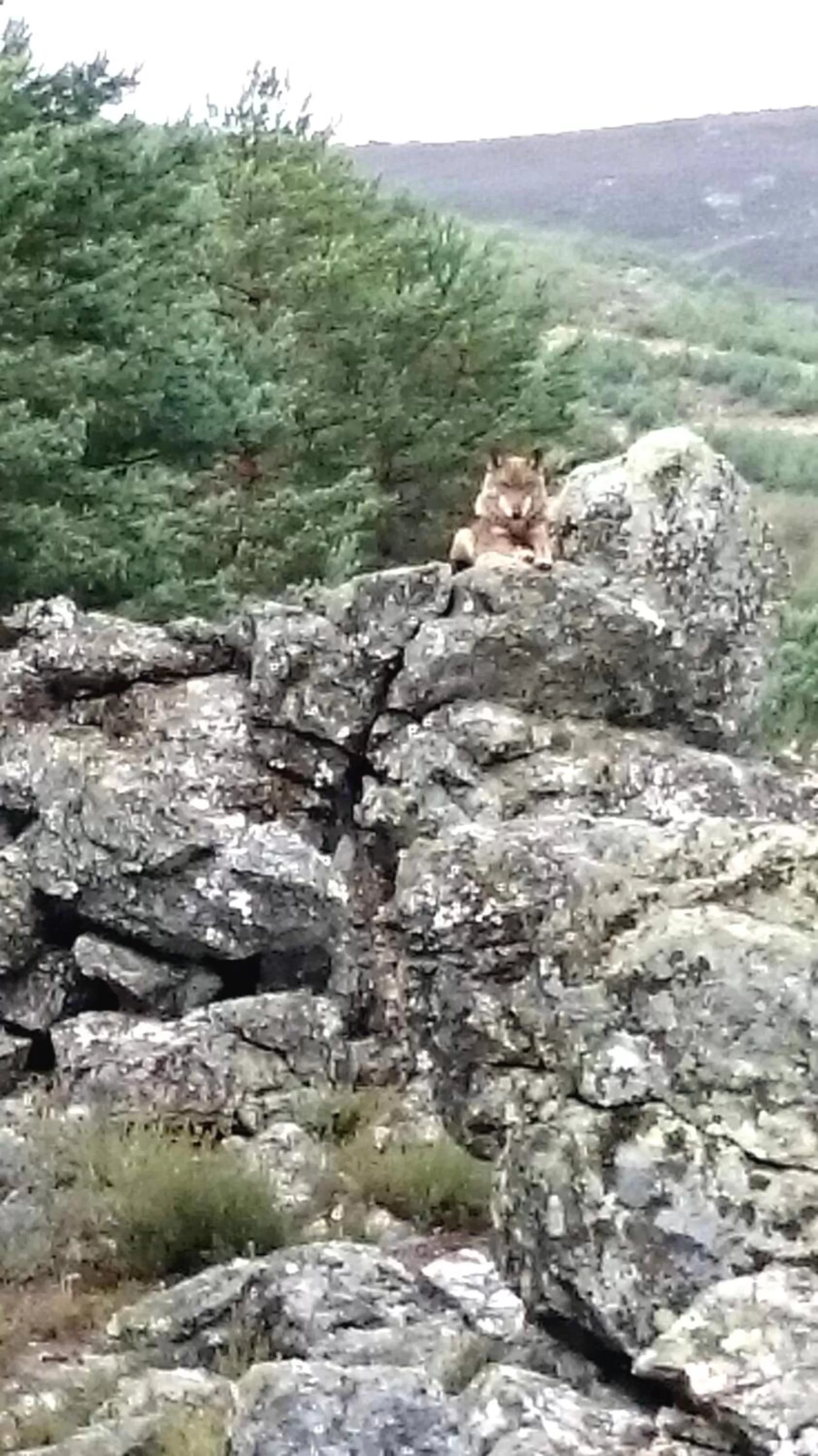 Activities in Tierra De Lobos