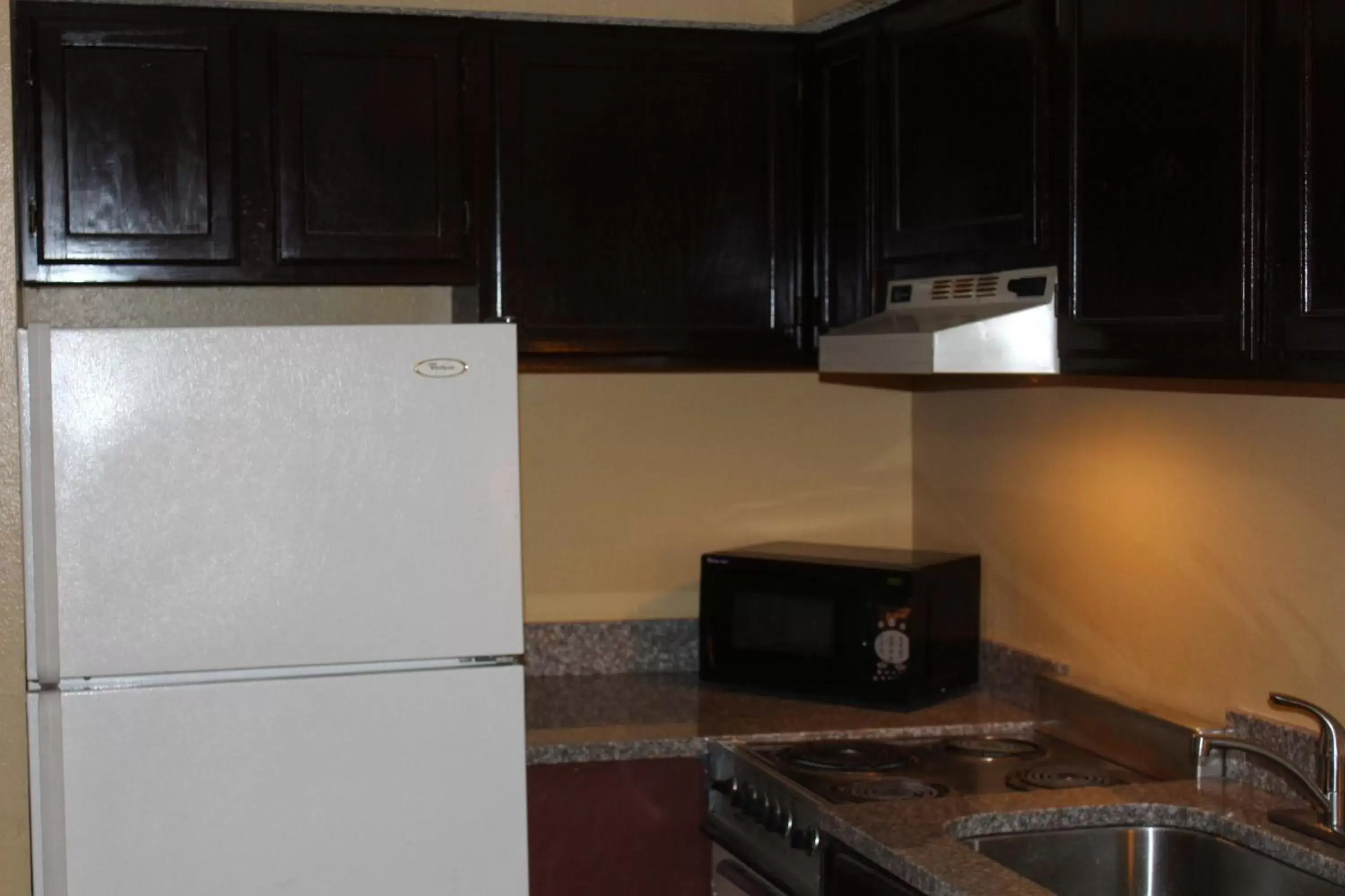 Kitchen/Kitchenette in The Executive Inn & Suites