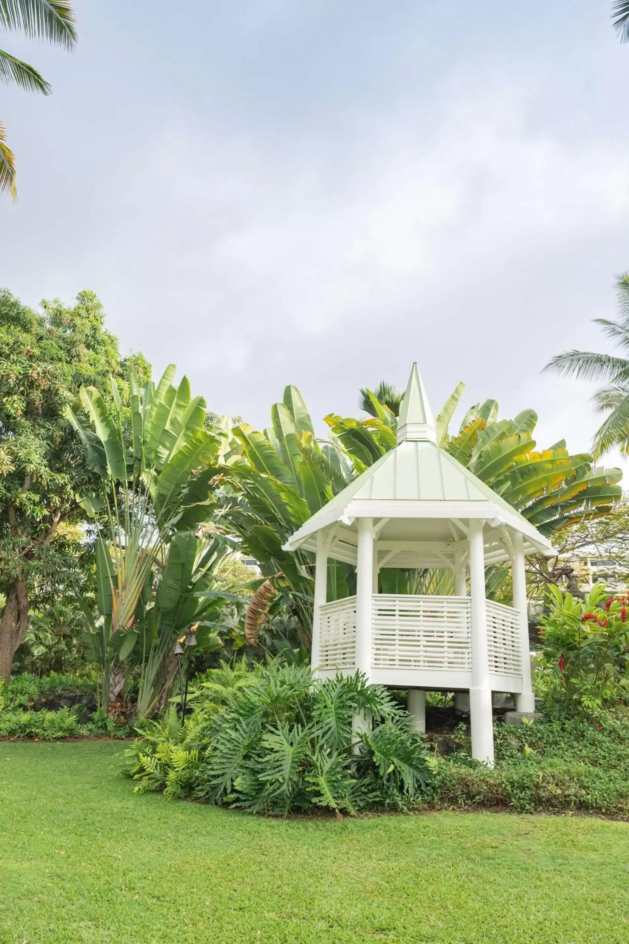 wedding, Garden in Outrigger Kona Resort and Spa