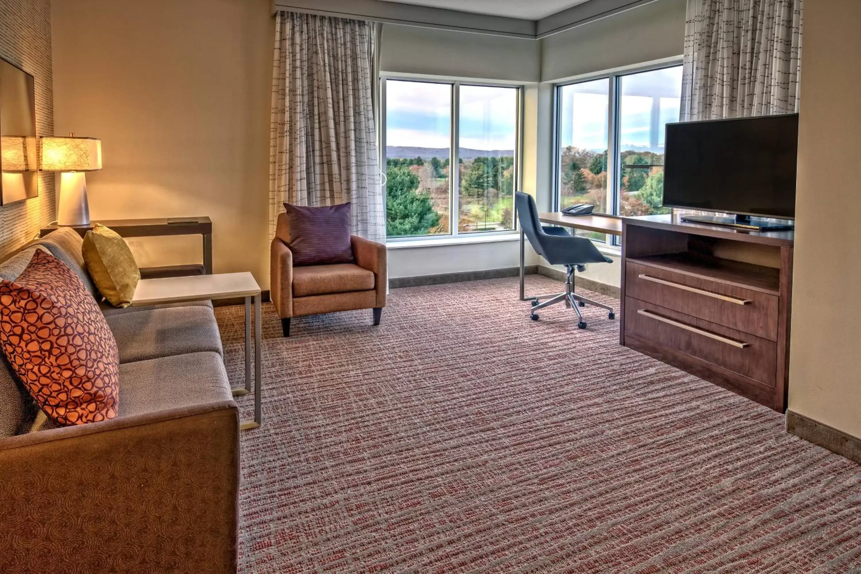 Living room, TV/Entertainment Center in Residence Inn by Marriott Blacksburg-University