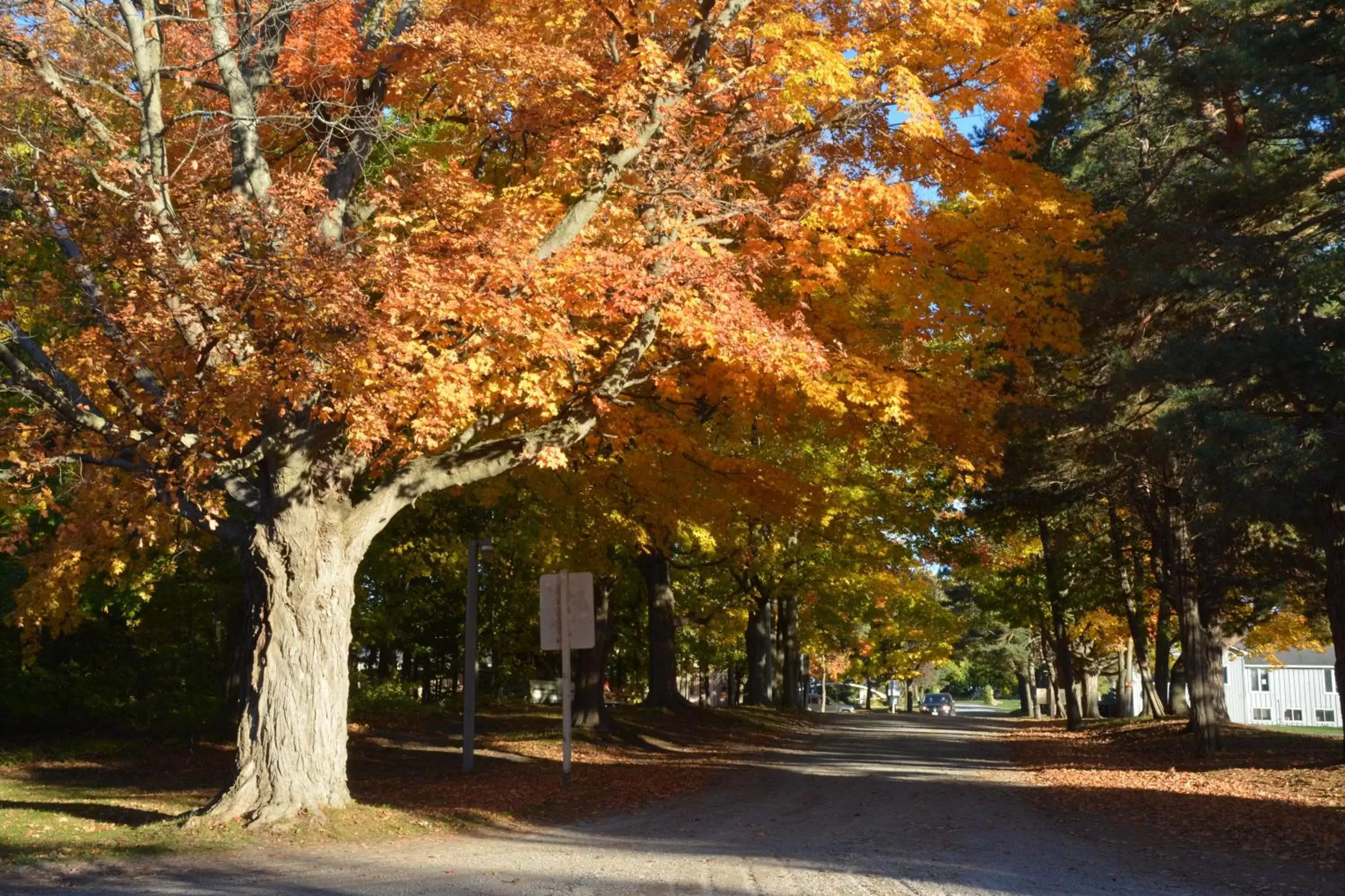 Autumn in Isaiah Tubbs Resort