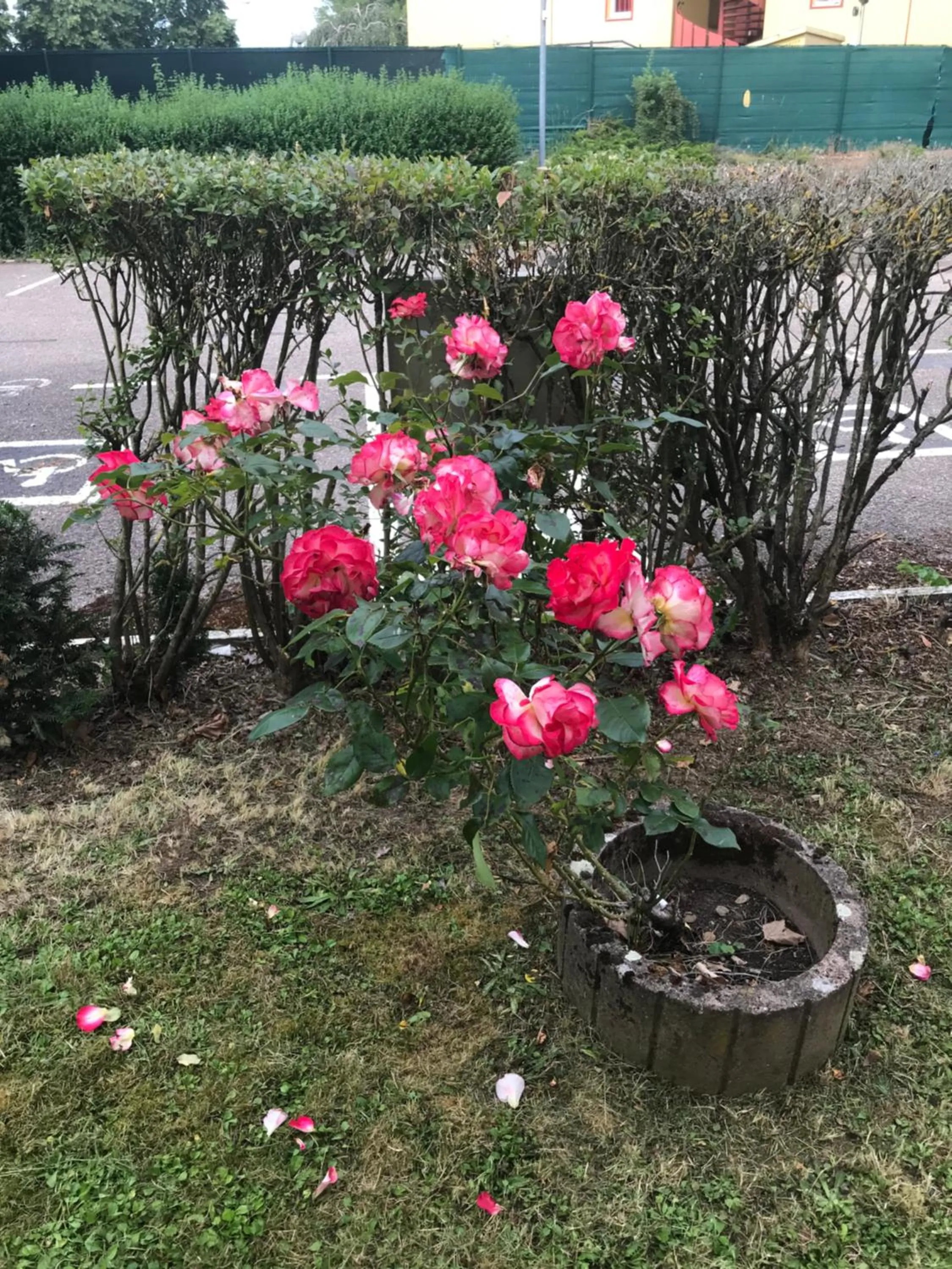 On site in Première Classe Metz Nord - Talange