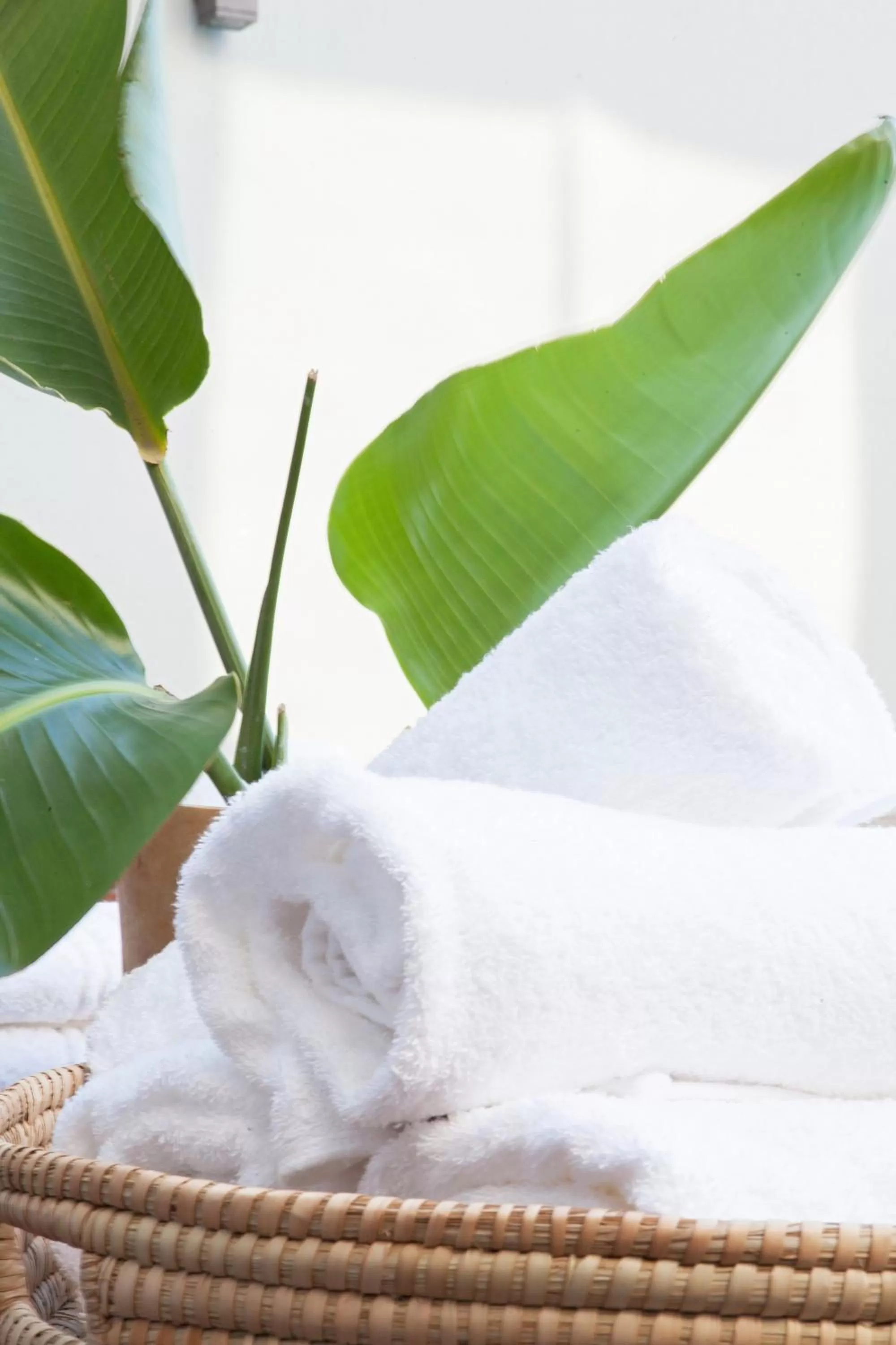 Decorative detail in Bliss Boutique Hotel