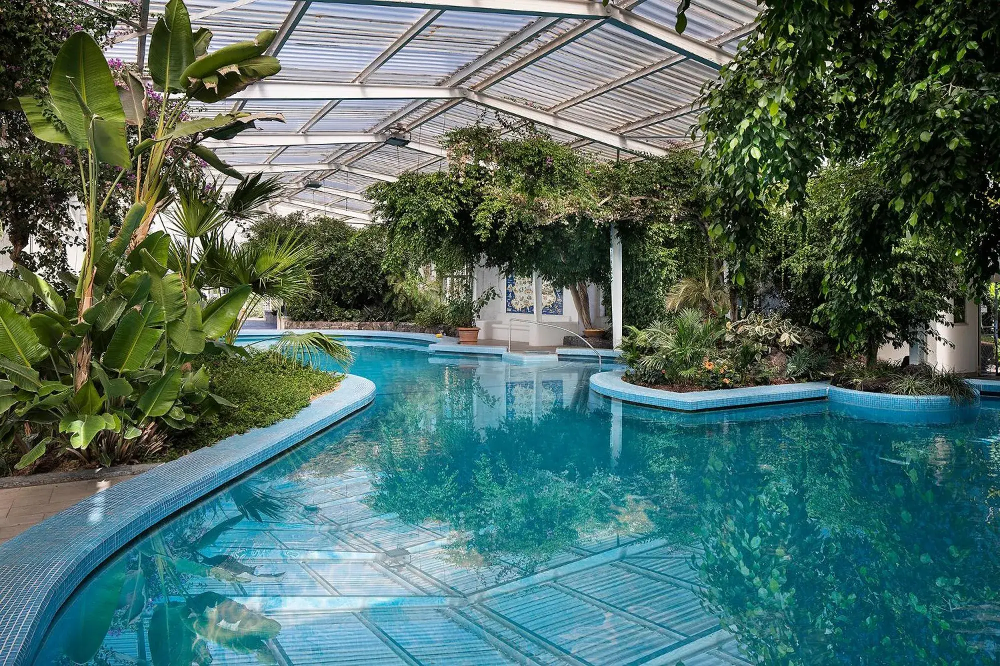 Swimming Pool in Hotel Continental Ischia