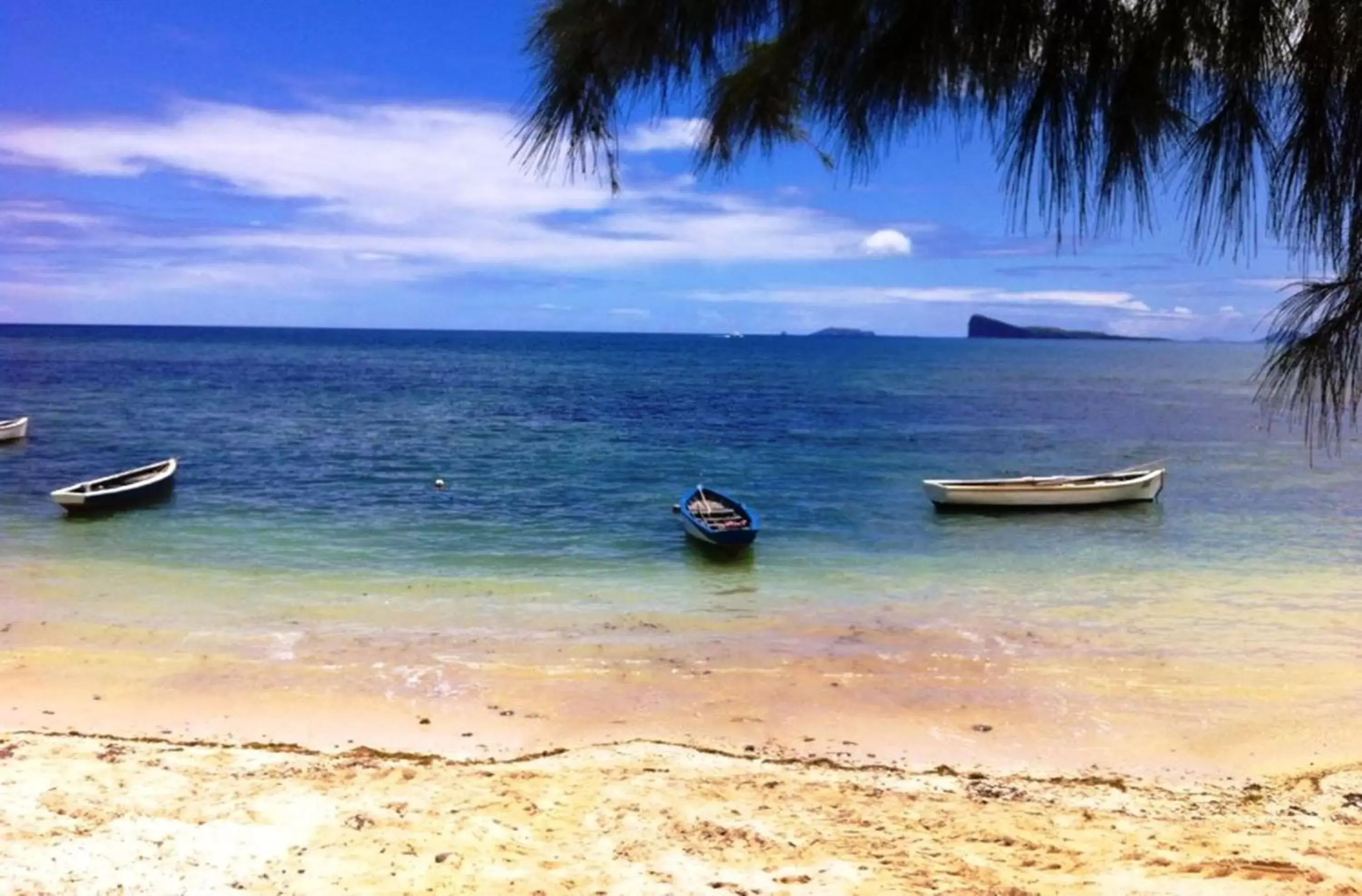 Beach, Natural Landscape in Seapoint Boutique Hotel