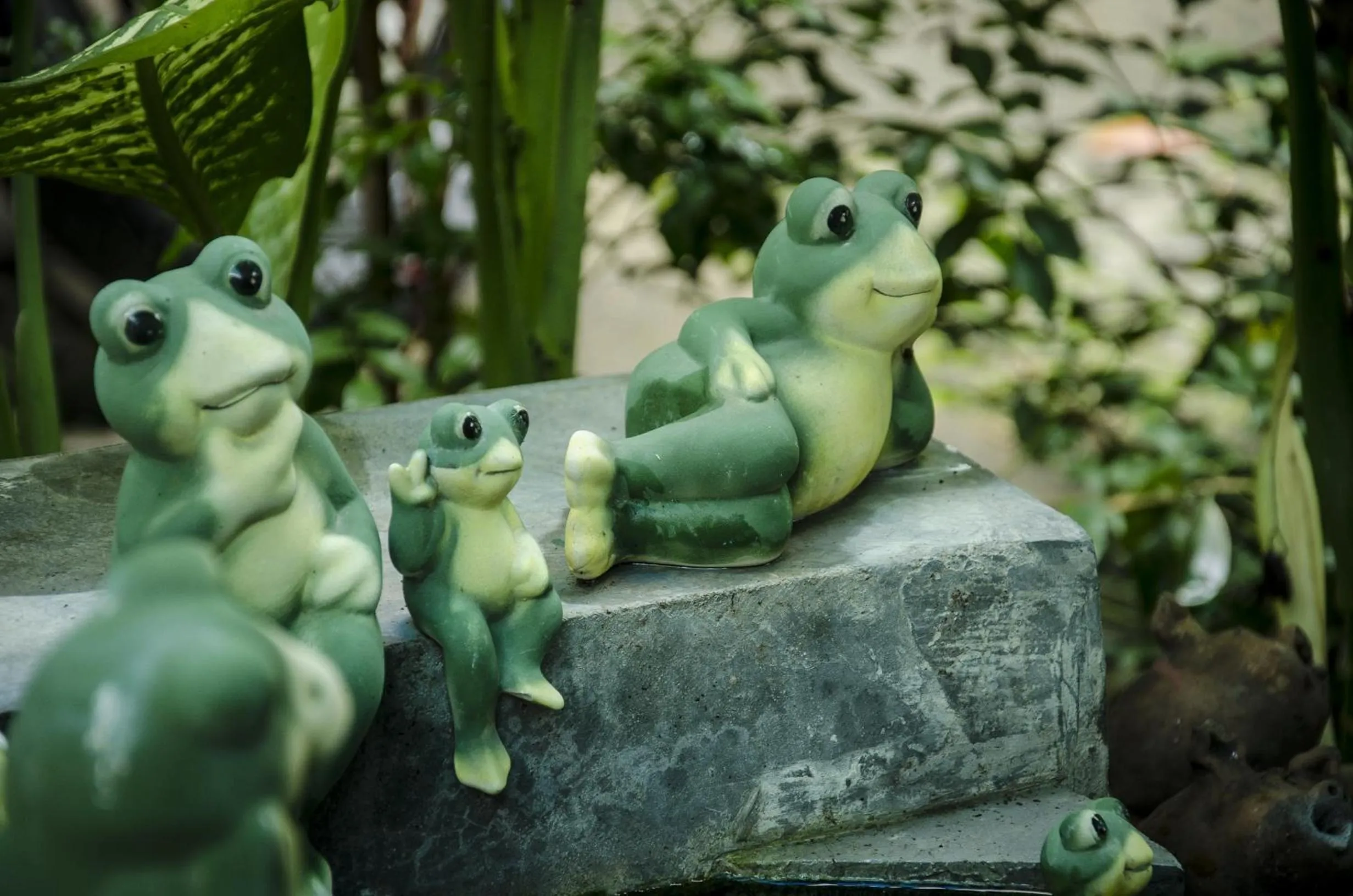 Natural landscape in The Sylvana Pai