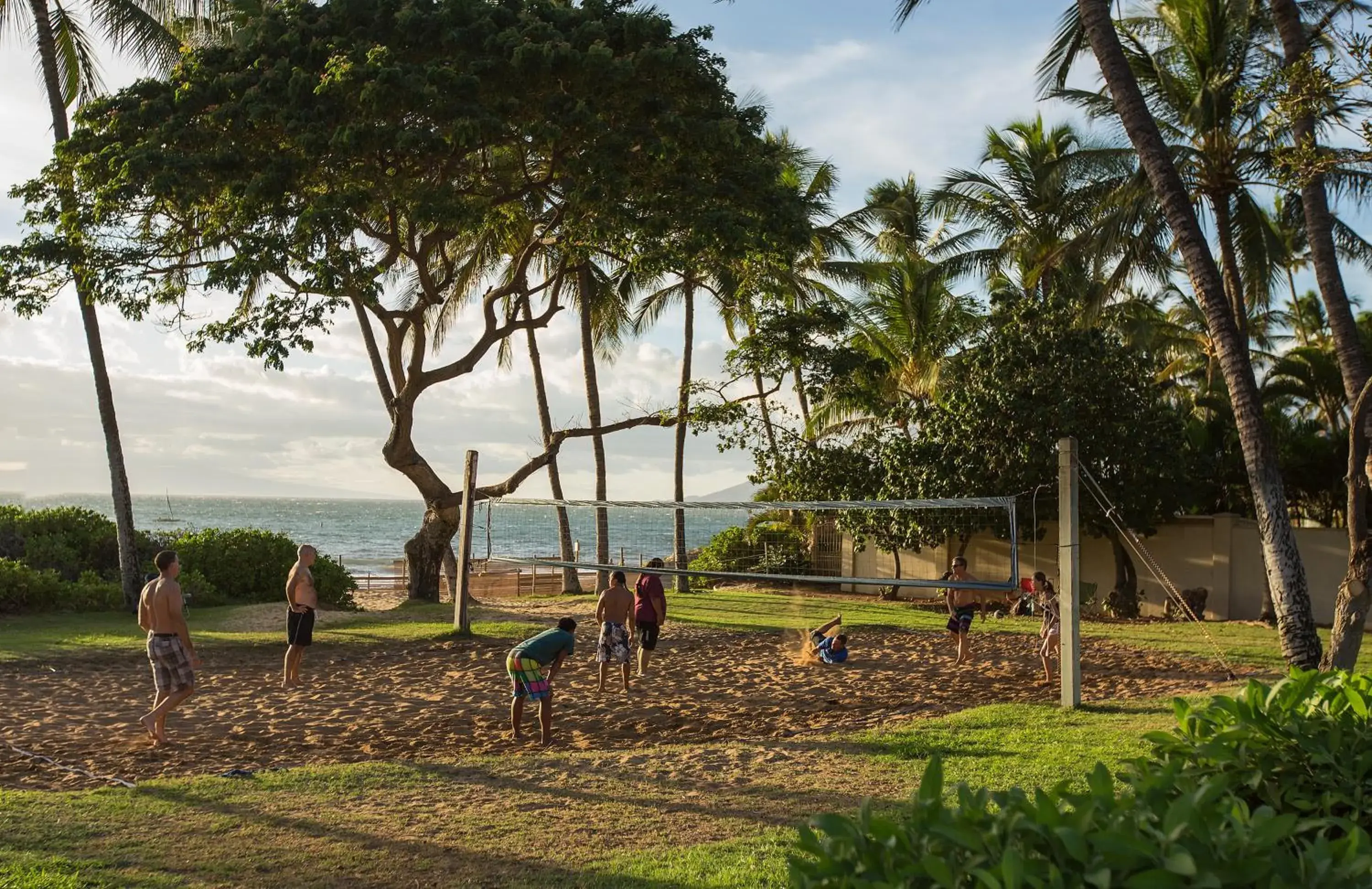 Area and facilities in Maui Coast Hotel