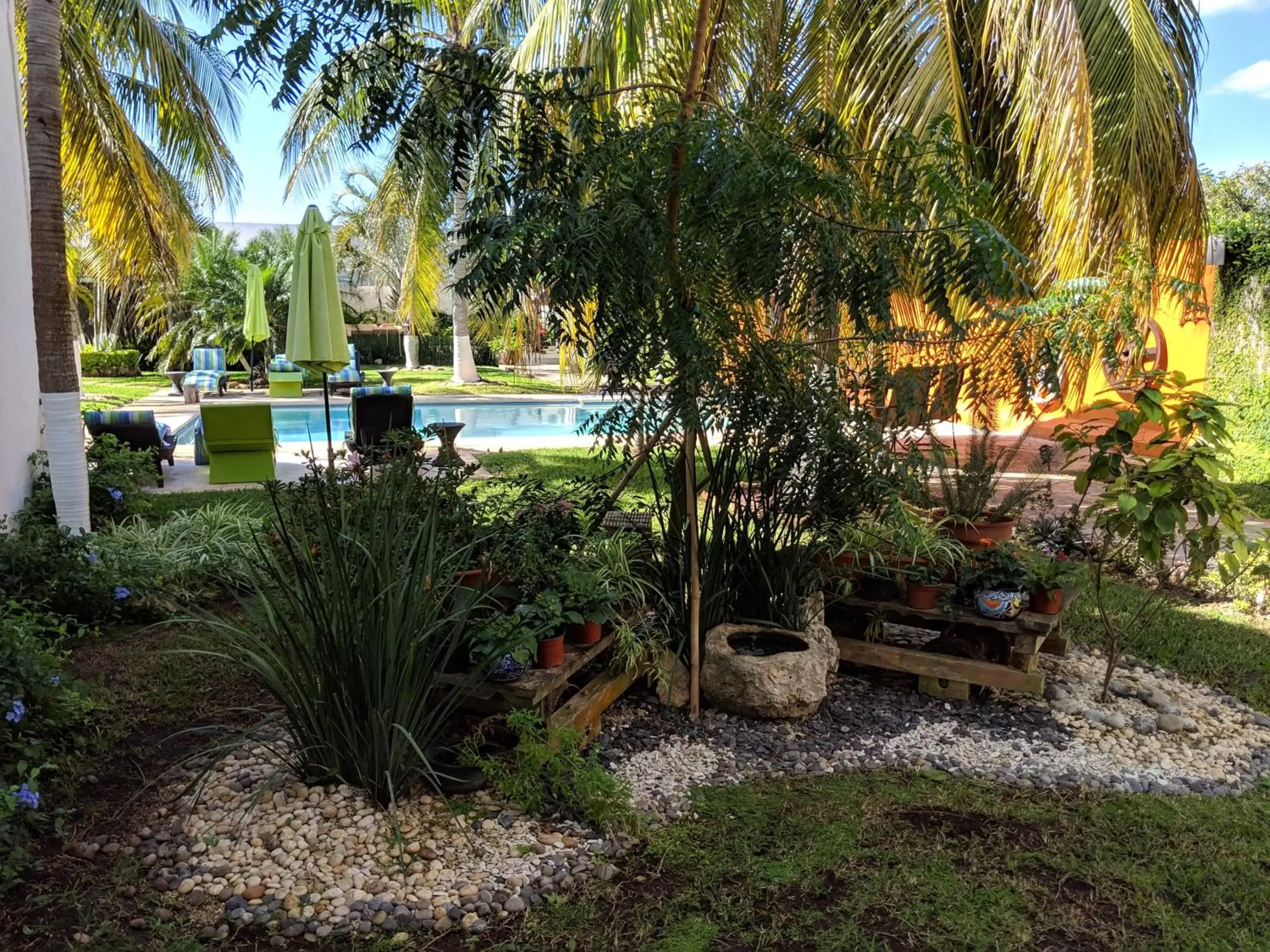 Garden, Swimming Pool in Casa Xcanatun