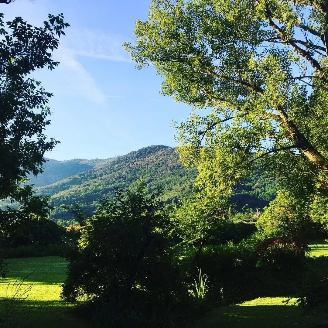 Garden in La Valle B&B