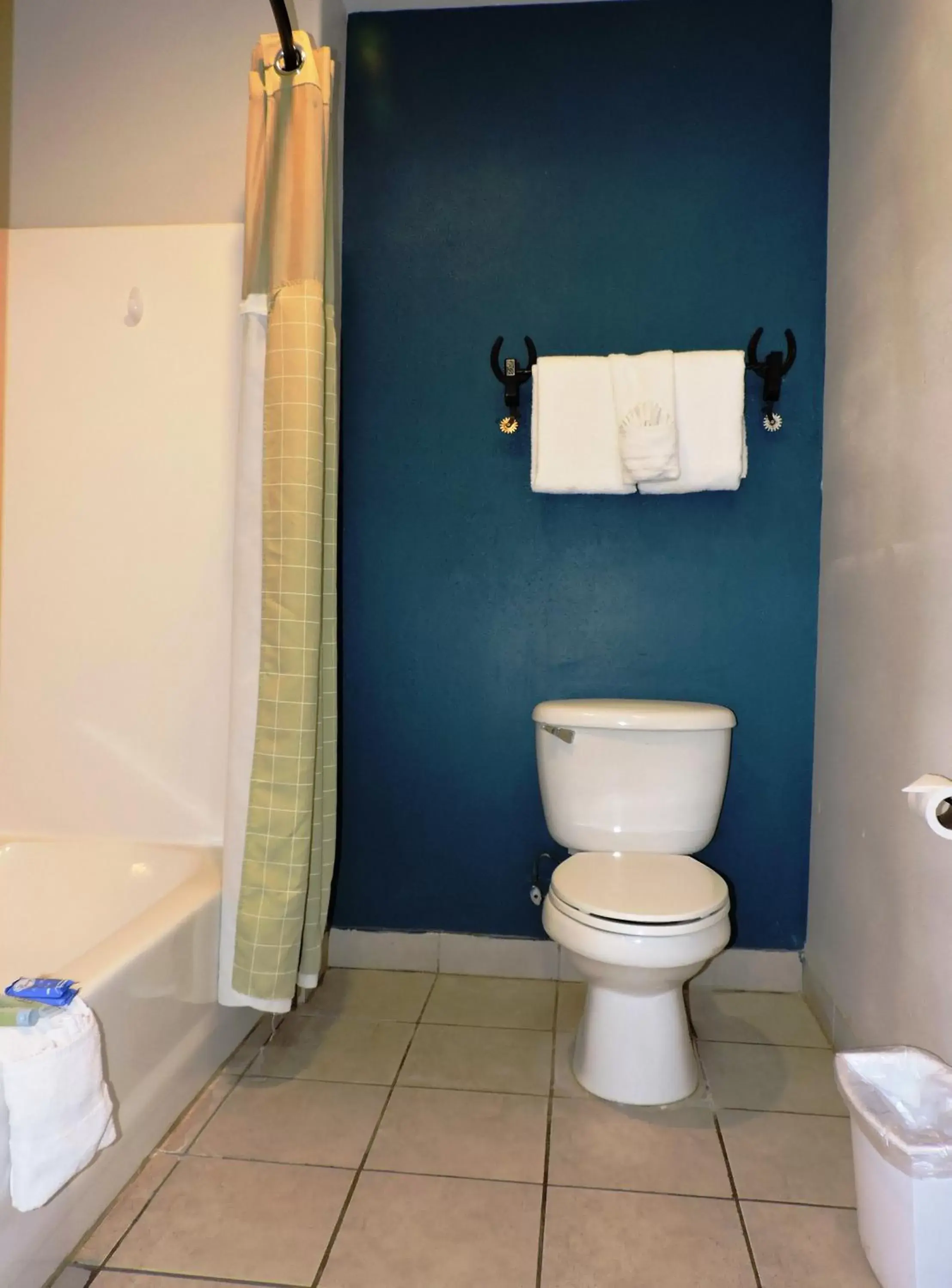 Bathroom in Riata Inn - Rankin