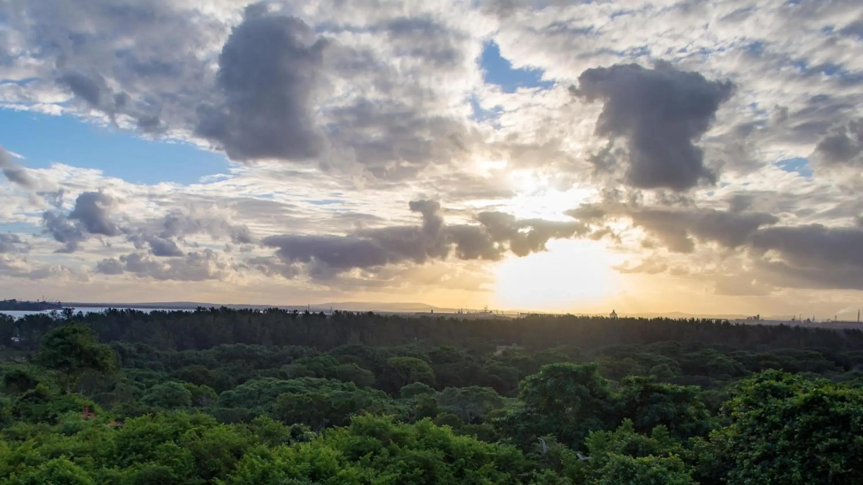 Natural landscape in Premier Hotel The Richards