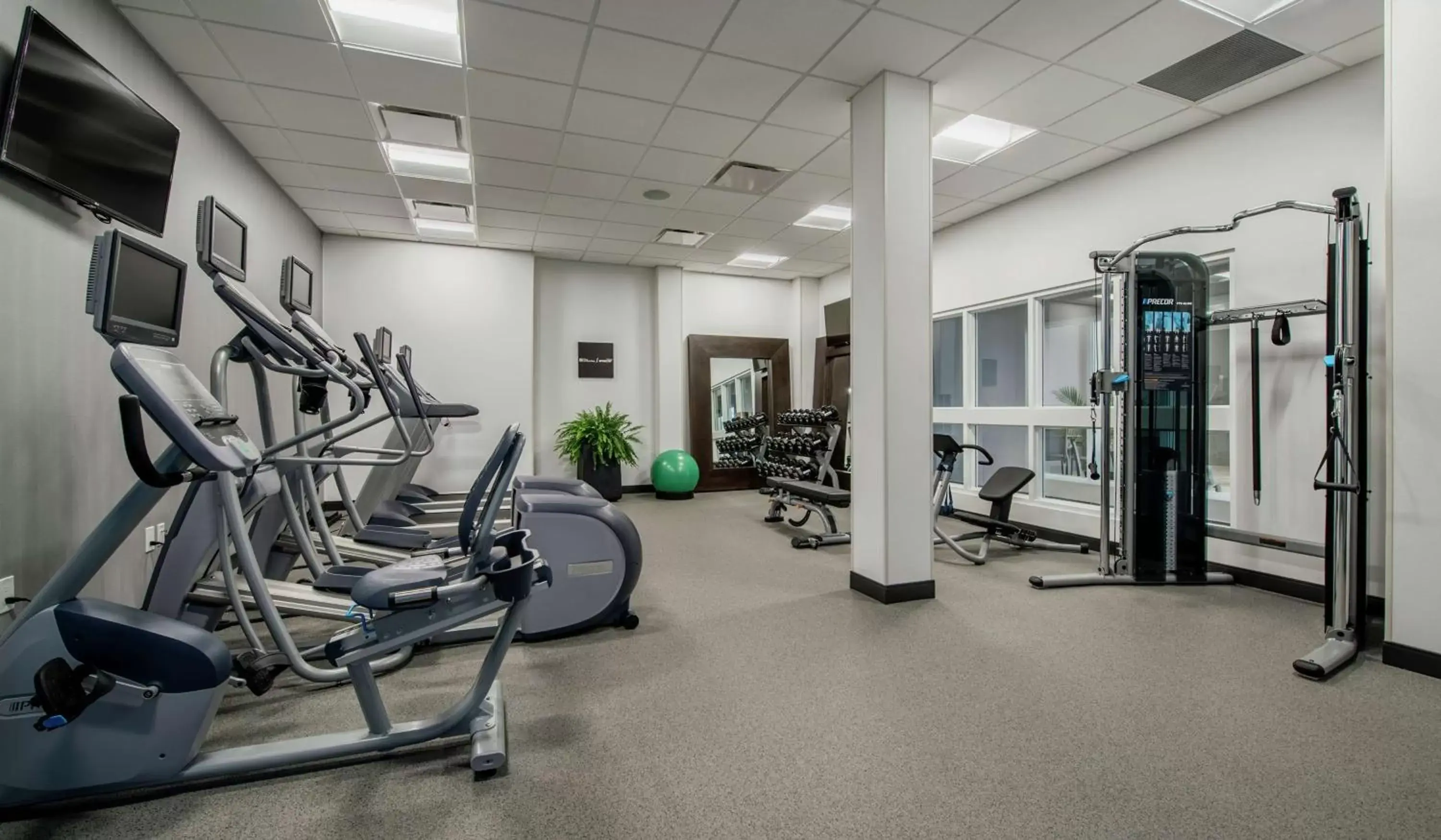 Fitness centre/facilities, Fitness Center/Facilities in Hilton Garden Inn Winnipeg South