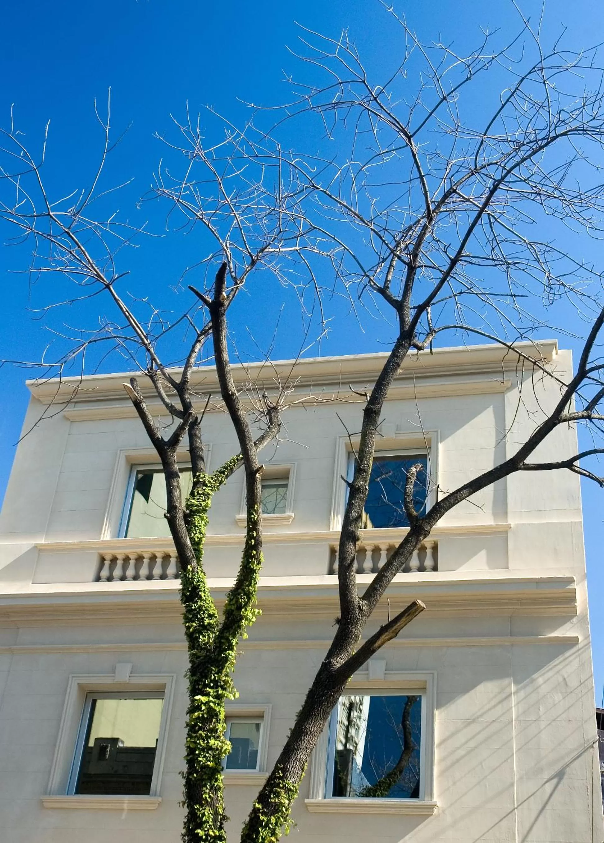 Facade/entrance in 248 Finisterra