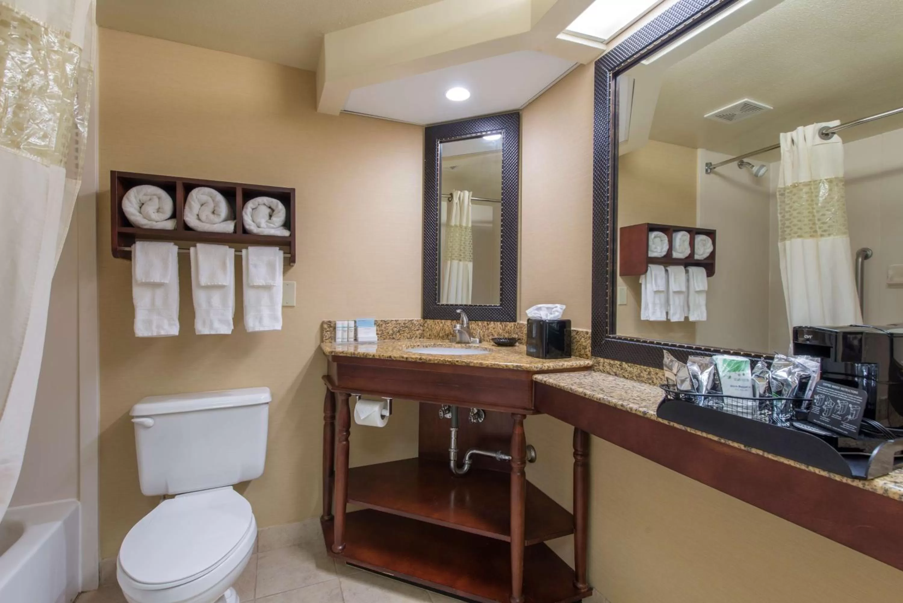 Bathroom in Hampton Inn Atlanta-Newnan